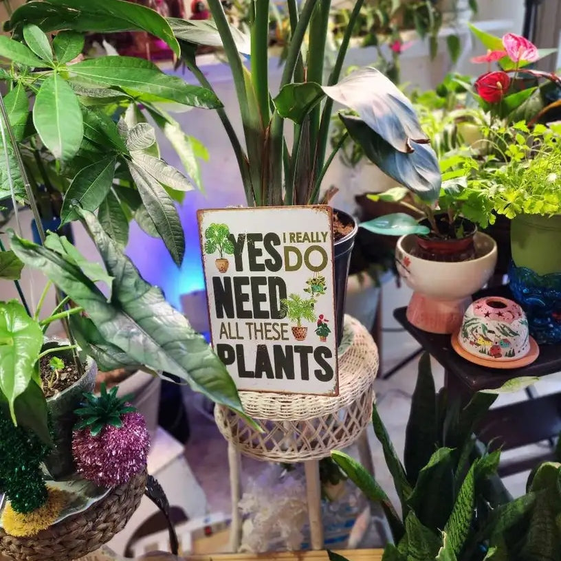 Vintage Plant Lover Sign