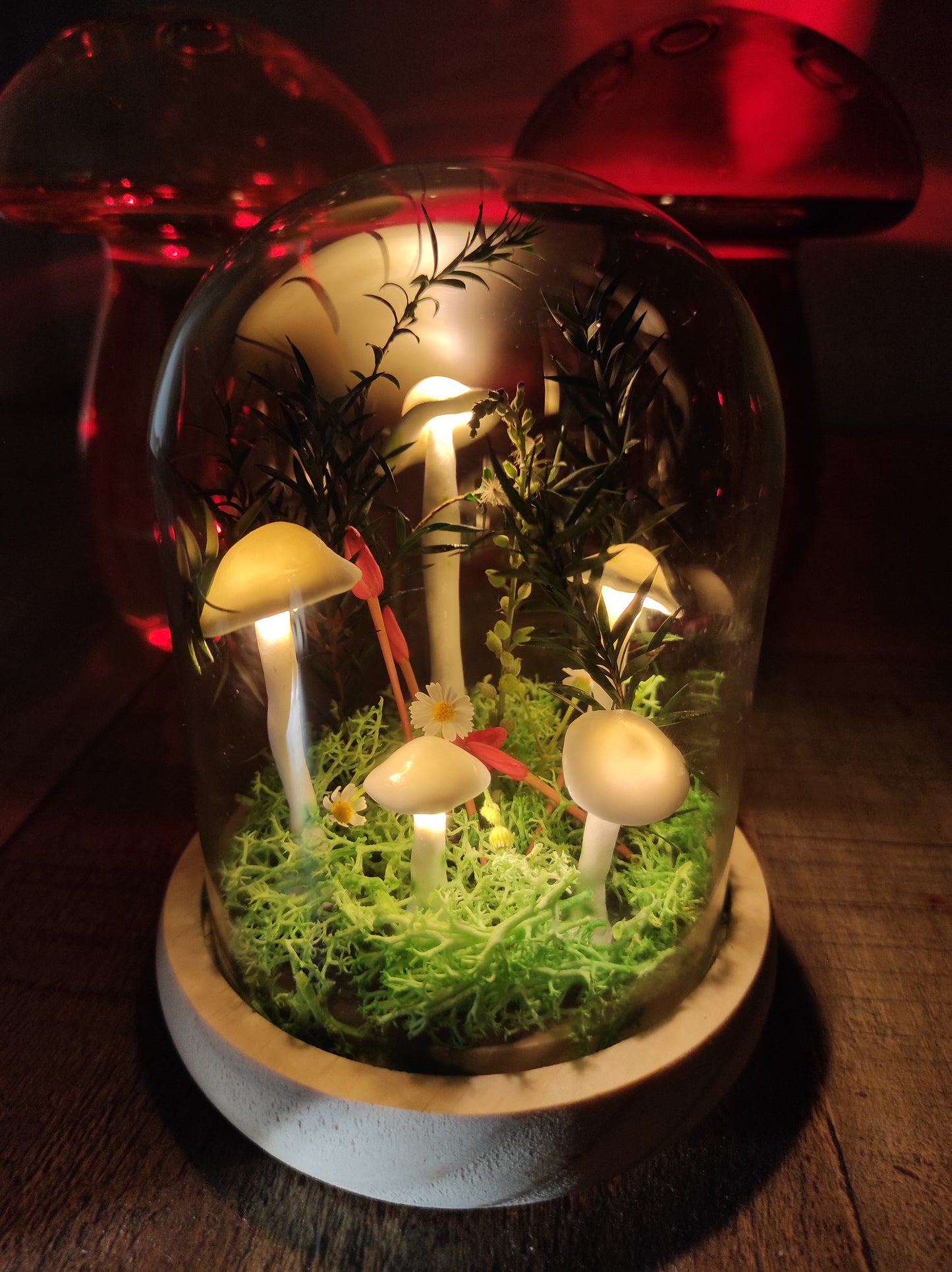 Mushroom Night Lights DIY Kit