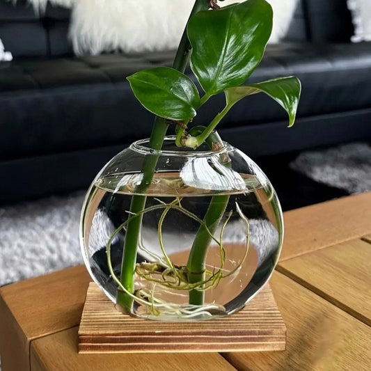 Propagation Vase With Wooden Stand