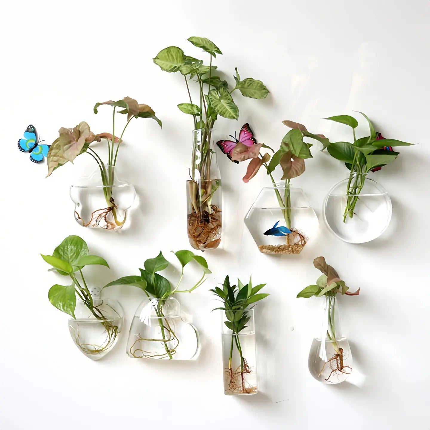 Wall Hanging Hydroponic Vases (set of 10)