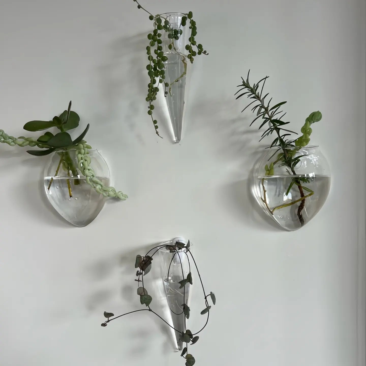 Wall Hanging Hydroponic Vases (set of 10)