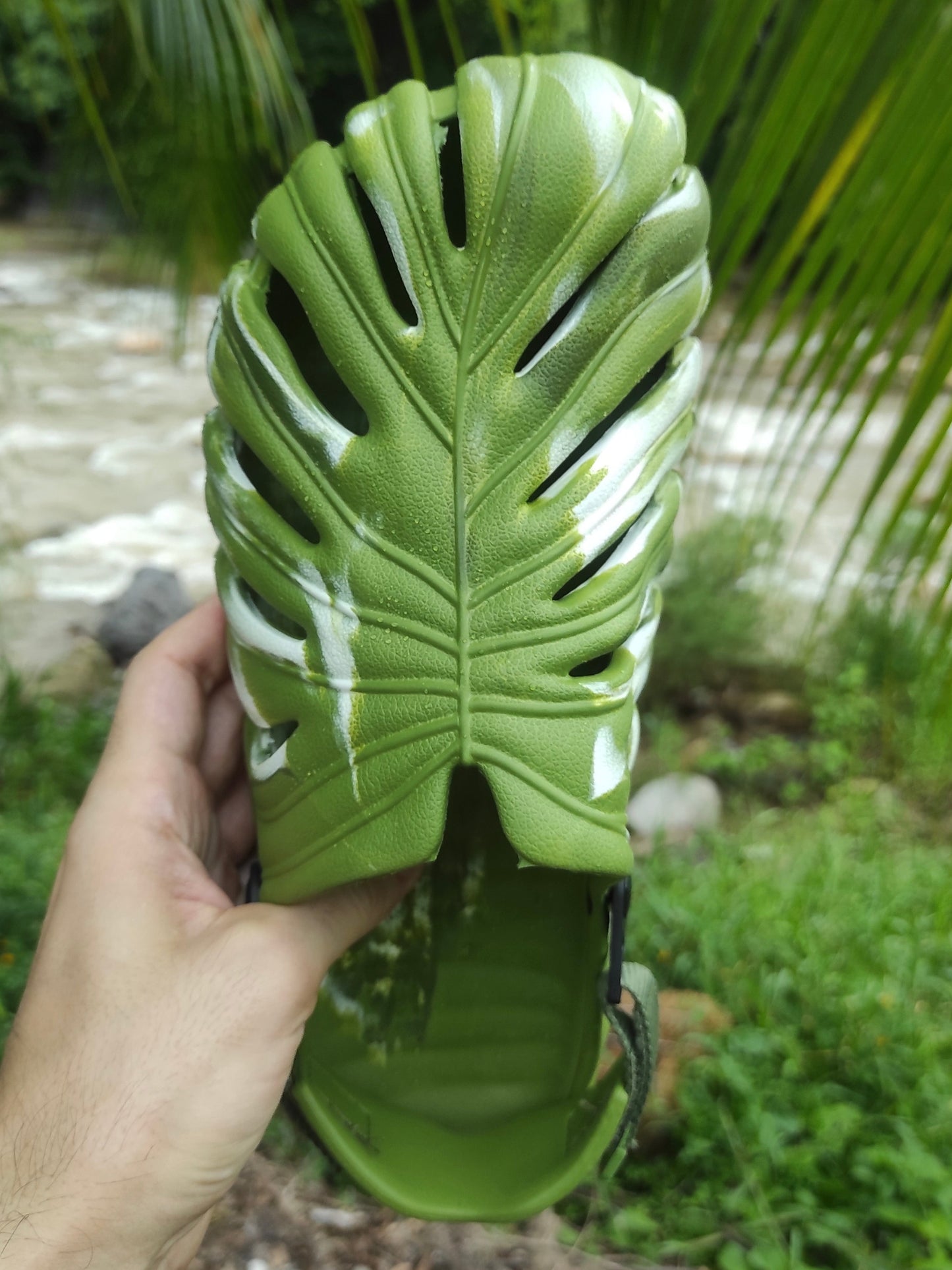Variegated Monstera Shoes