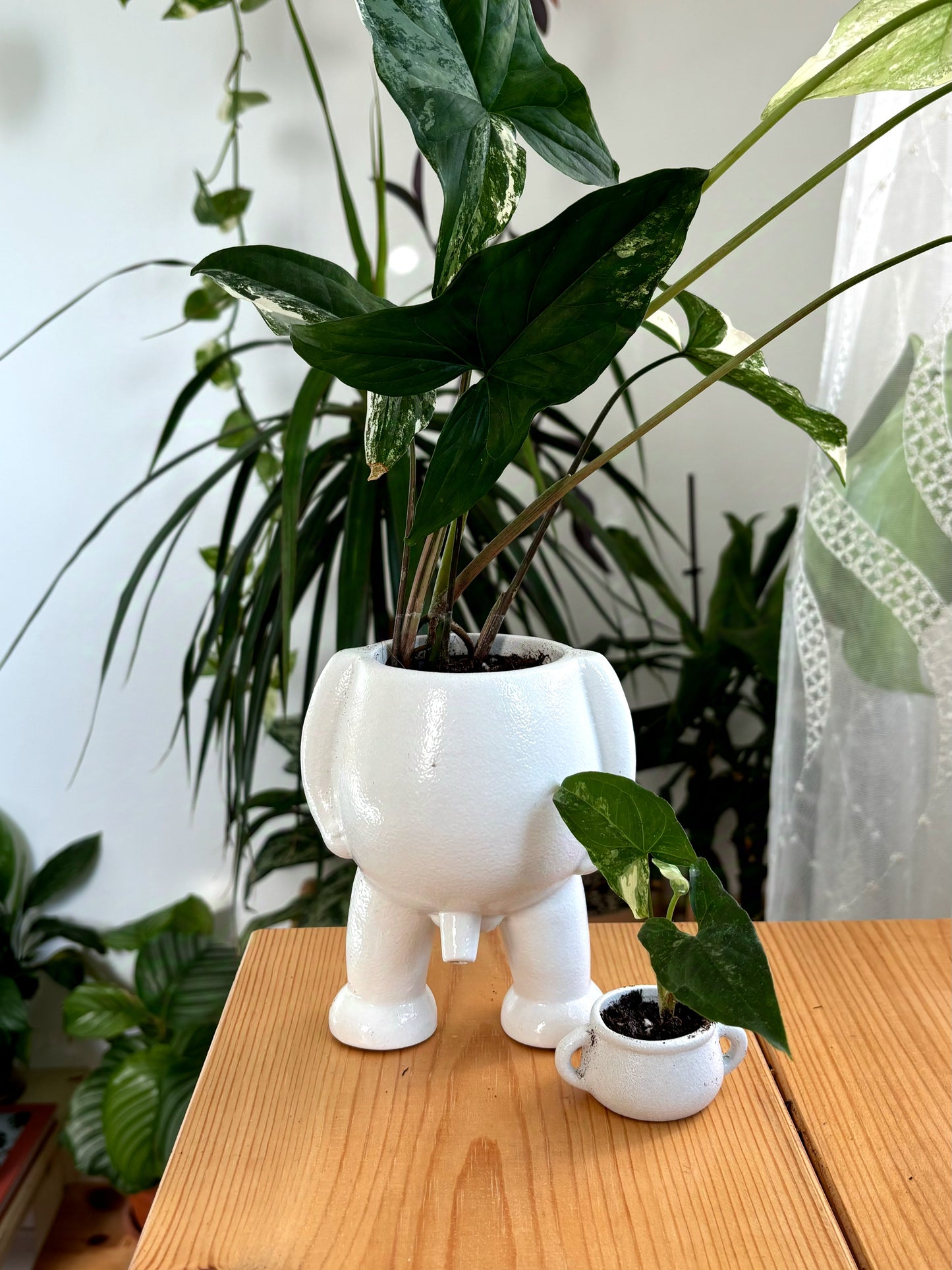 Ceramic Peeing Pot & Potty