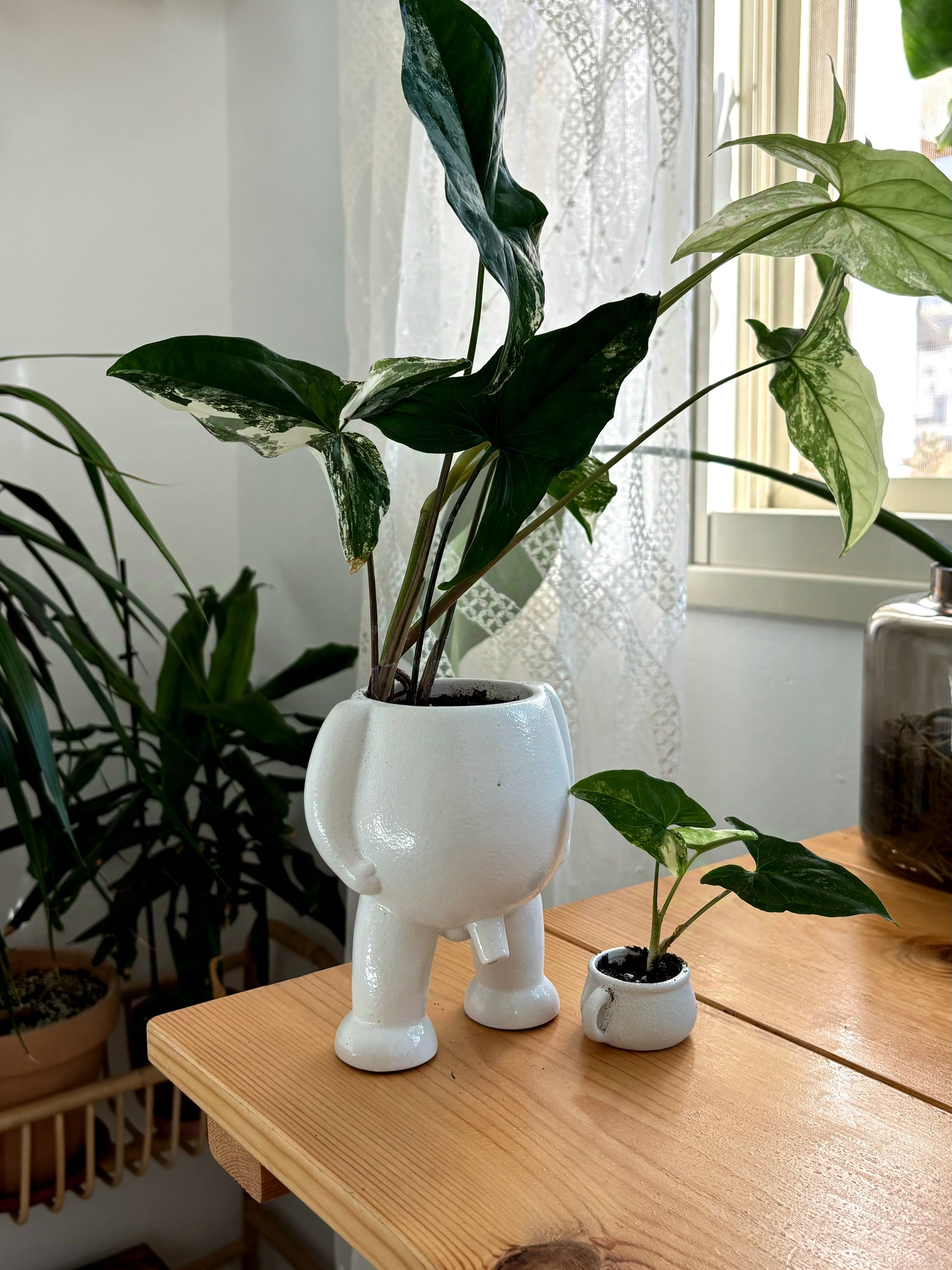peeing planter pot Ceramic Peeing Pot & Potty – Happyplanthome