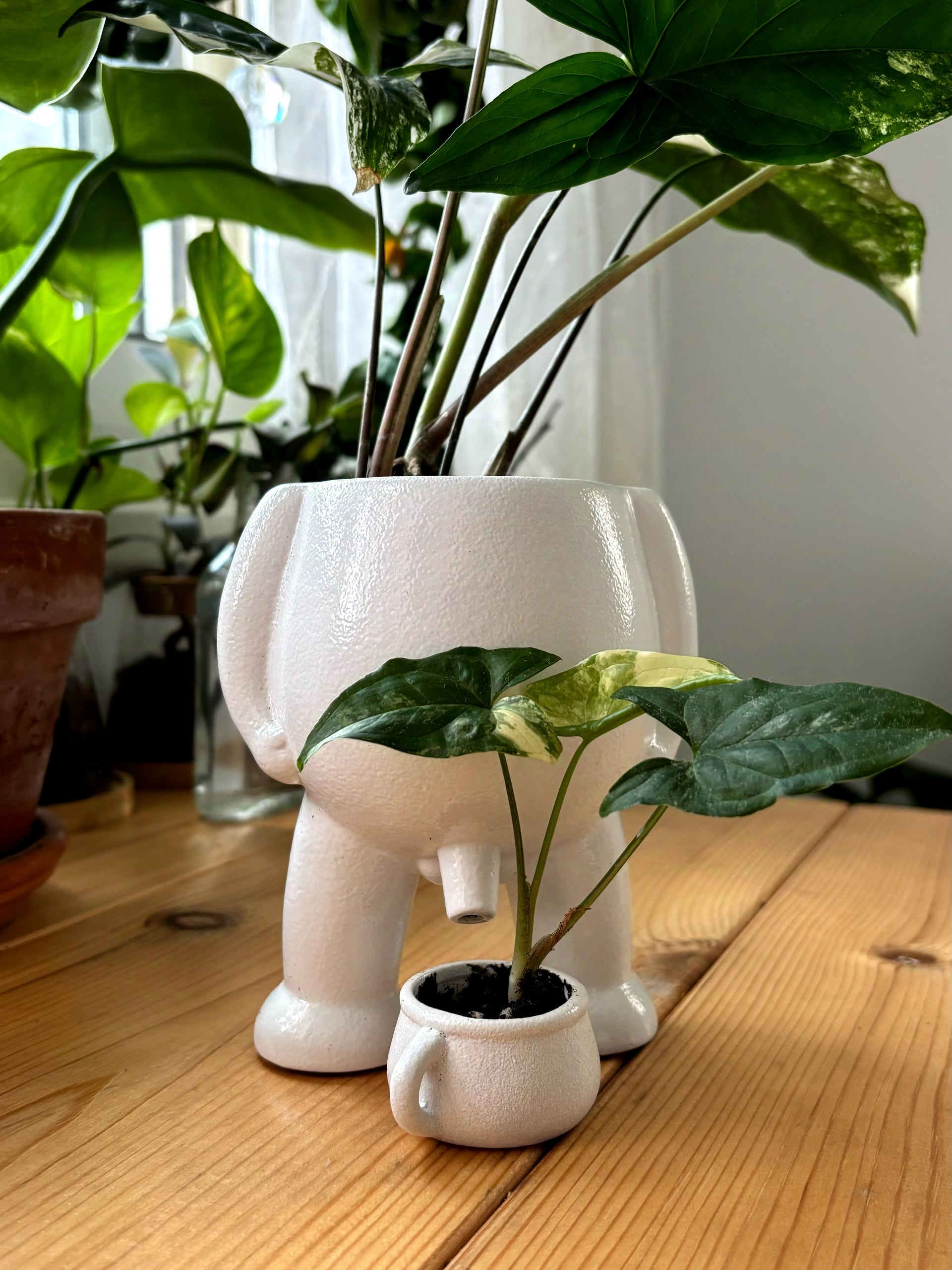 piss pot for plants Ceramic Peeing Pot & Potty