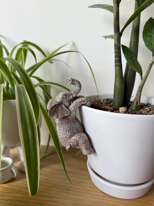 Planter Deco Animal Hangers