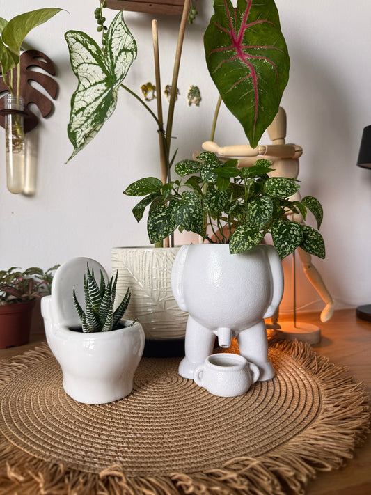Ceramic Peeing & Toilet Pots
