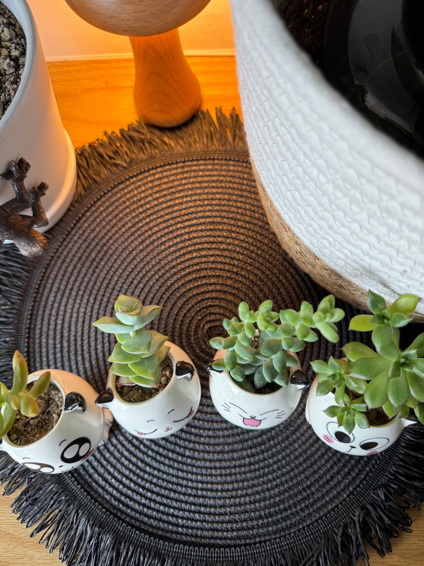 Lil Kitten Squad Pots