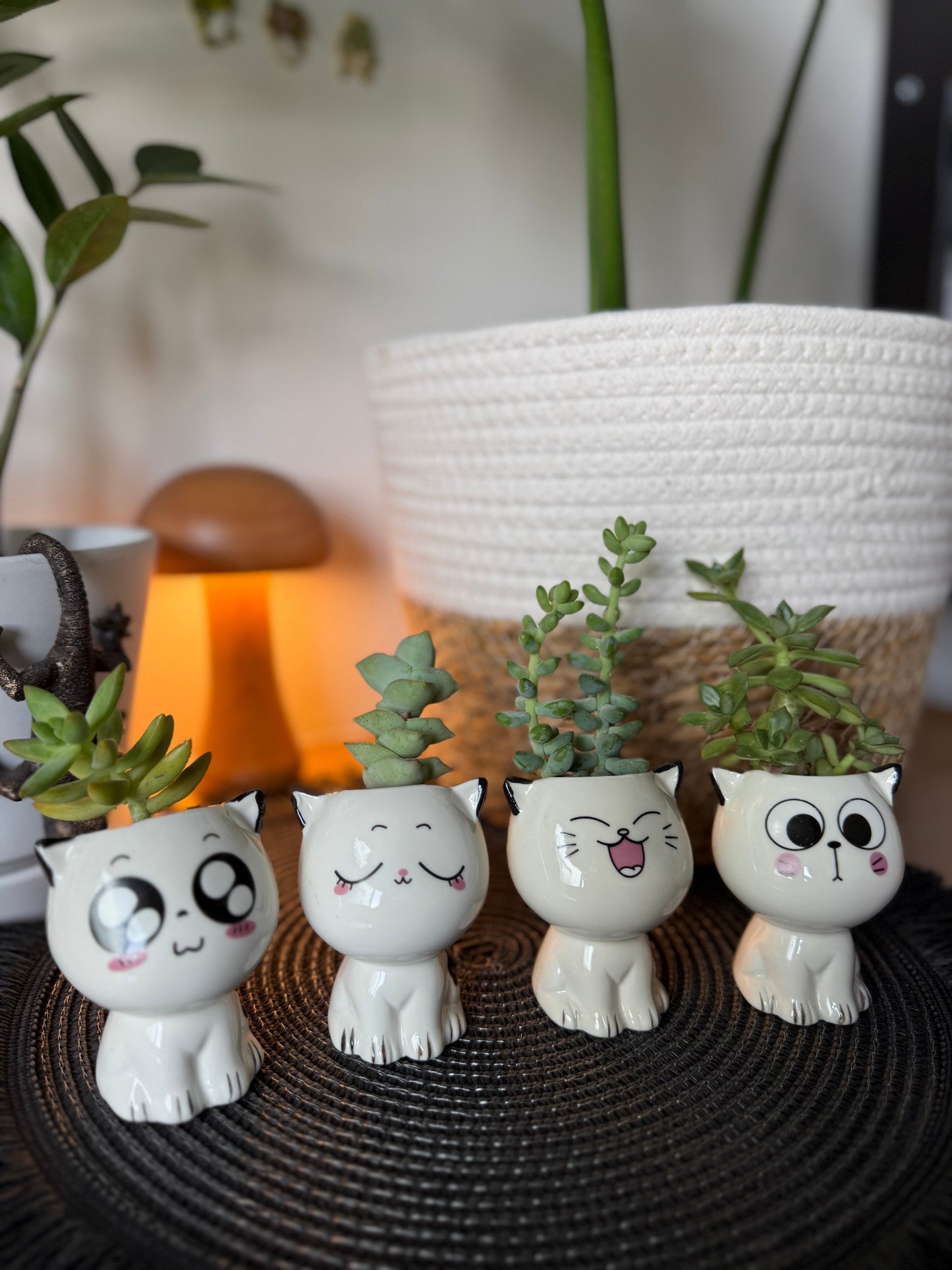 Lil Kitten Squad Pots