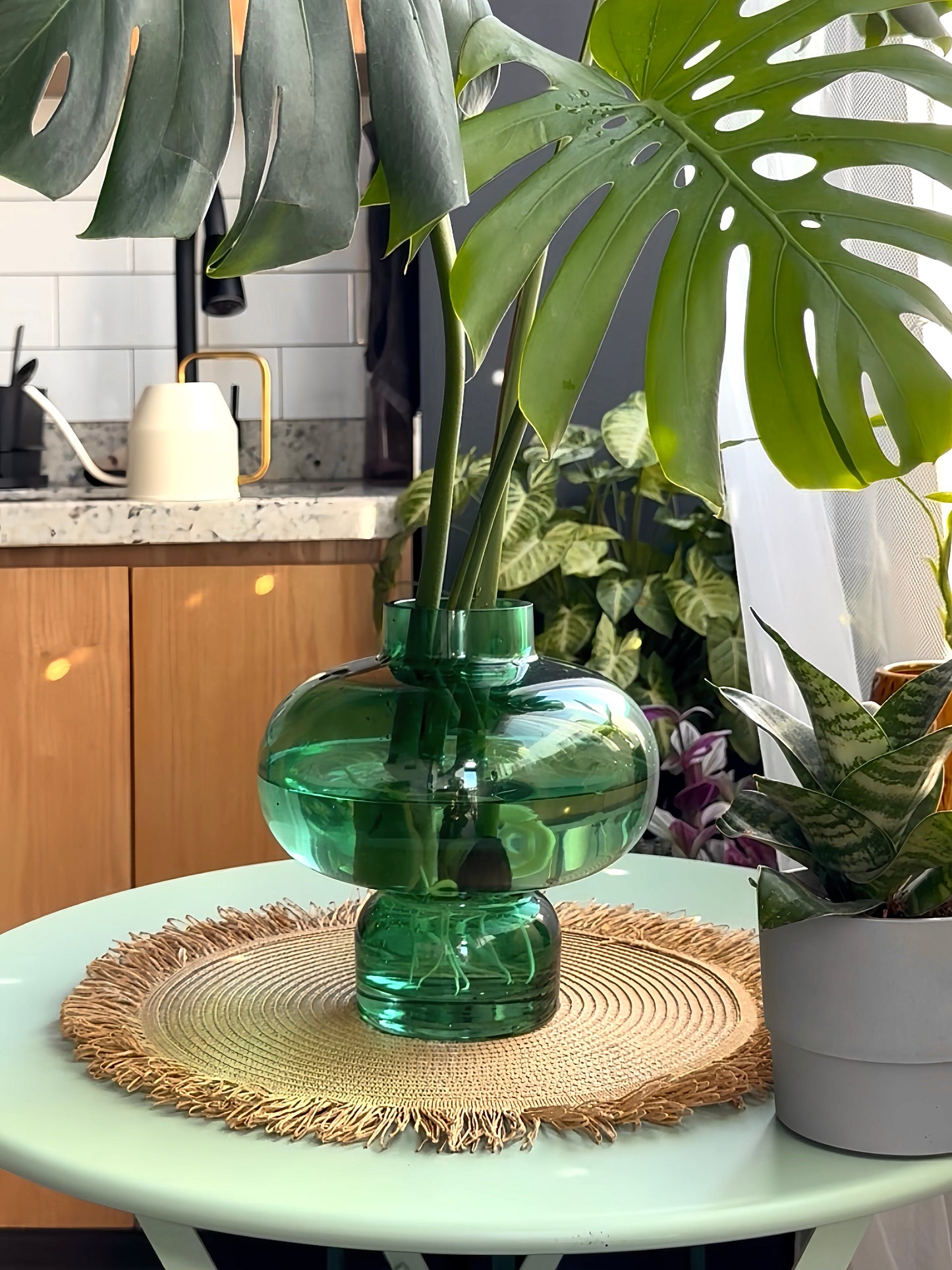 Monstera Vase