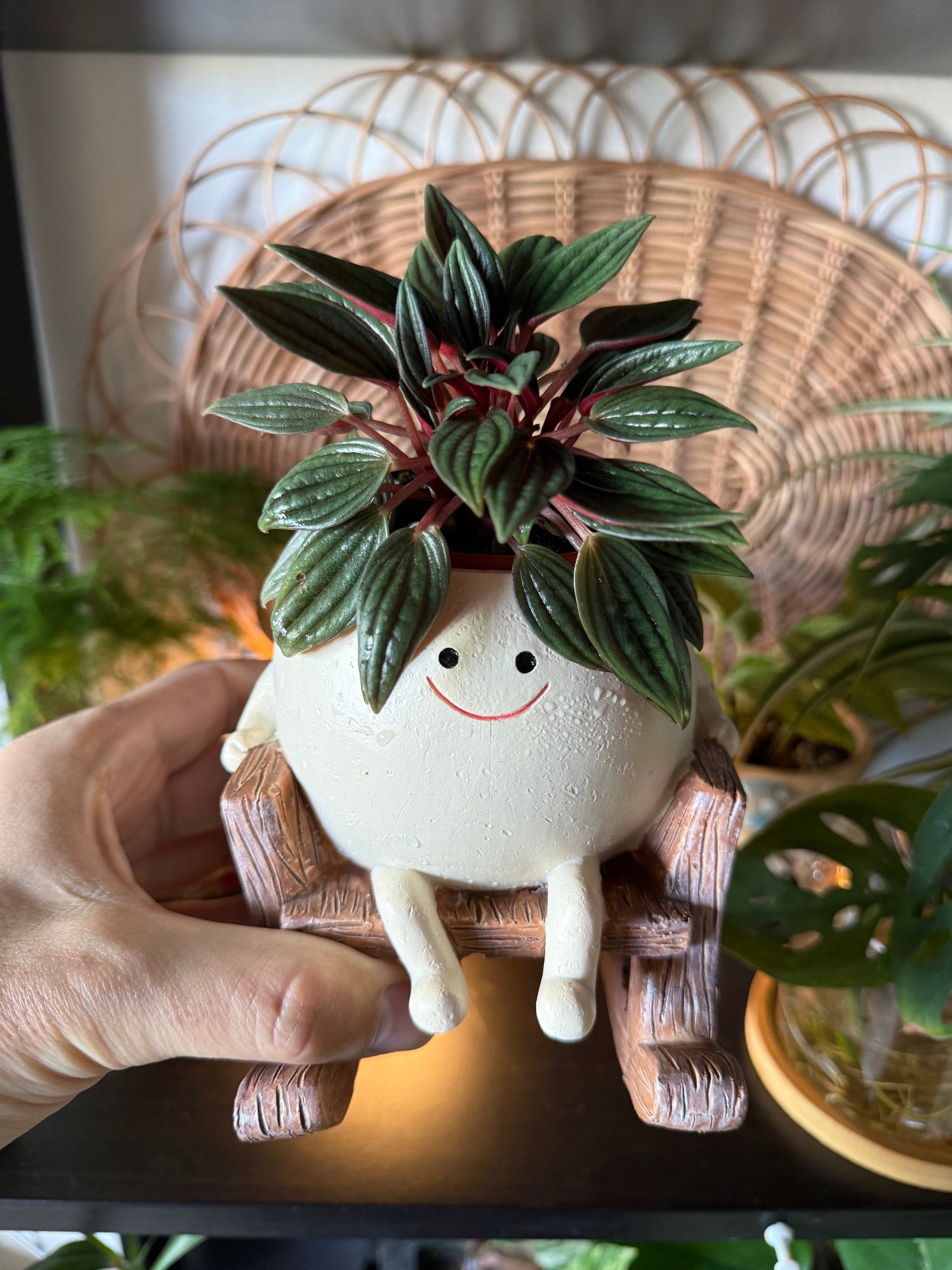 rocking chair plant pot Rocking Chair Smiling Pot – Happyplanthome