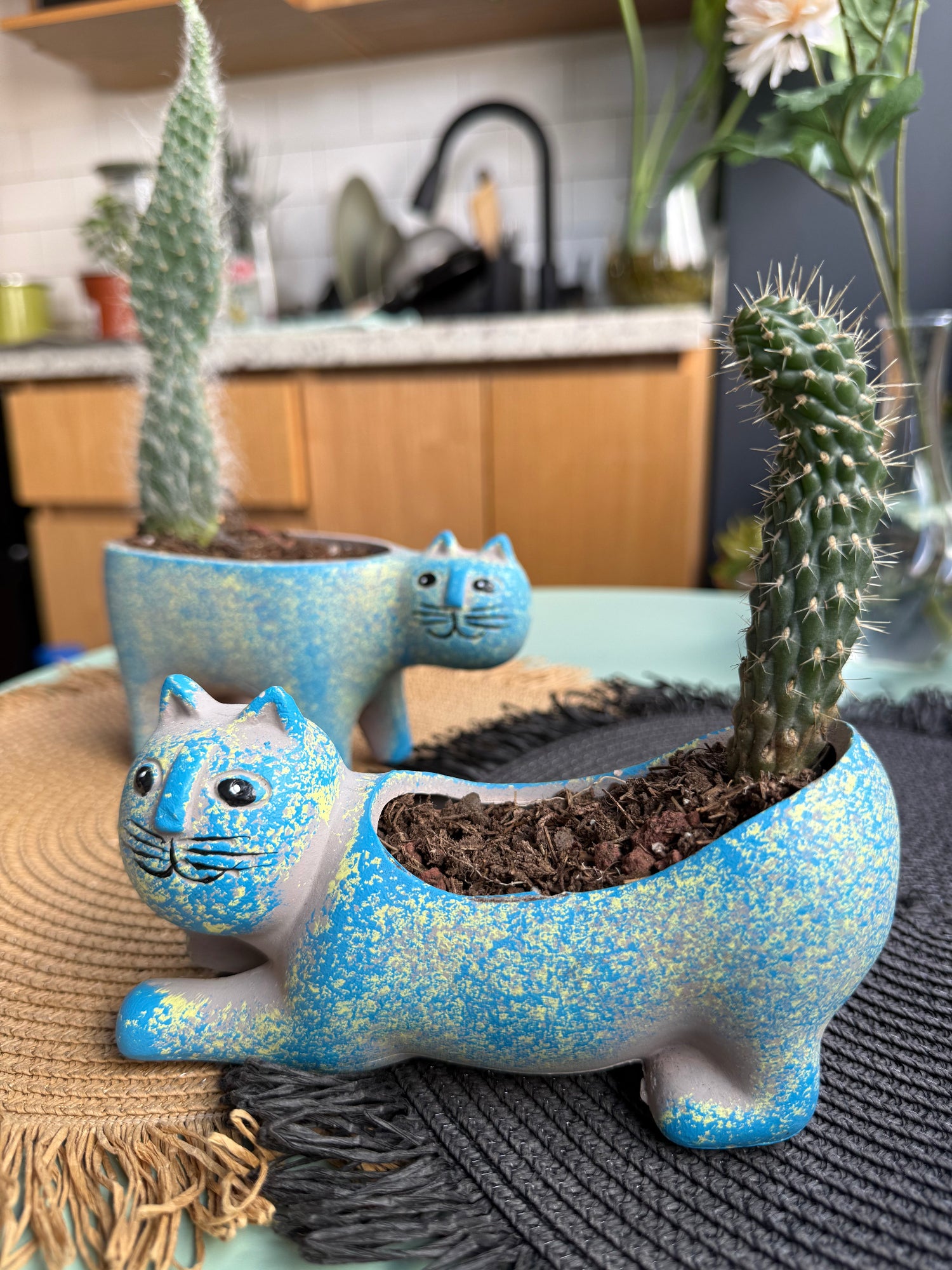 Decorative blue ceramic lizard planter with a cactus plant inside, placed on a textured surface.