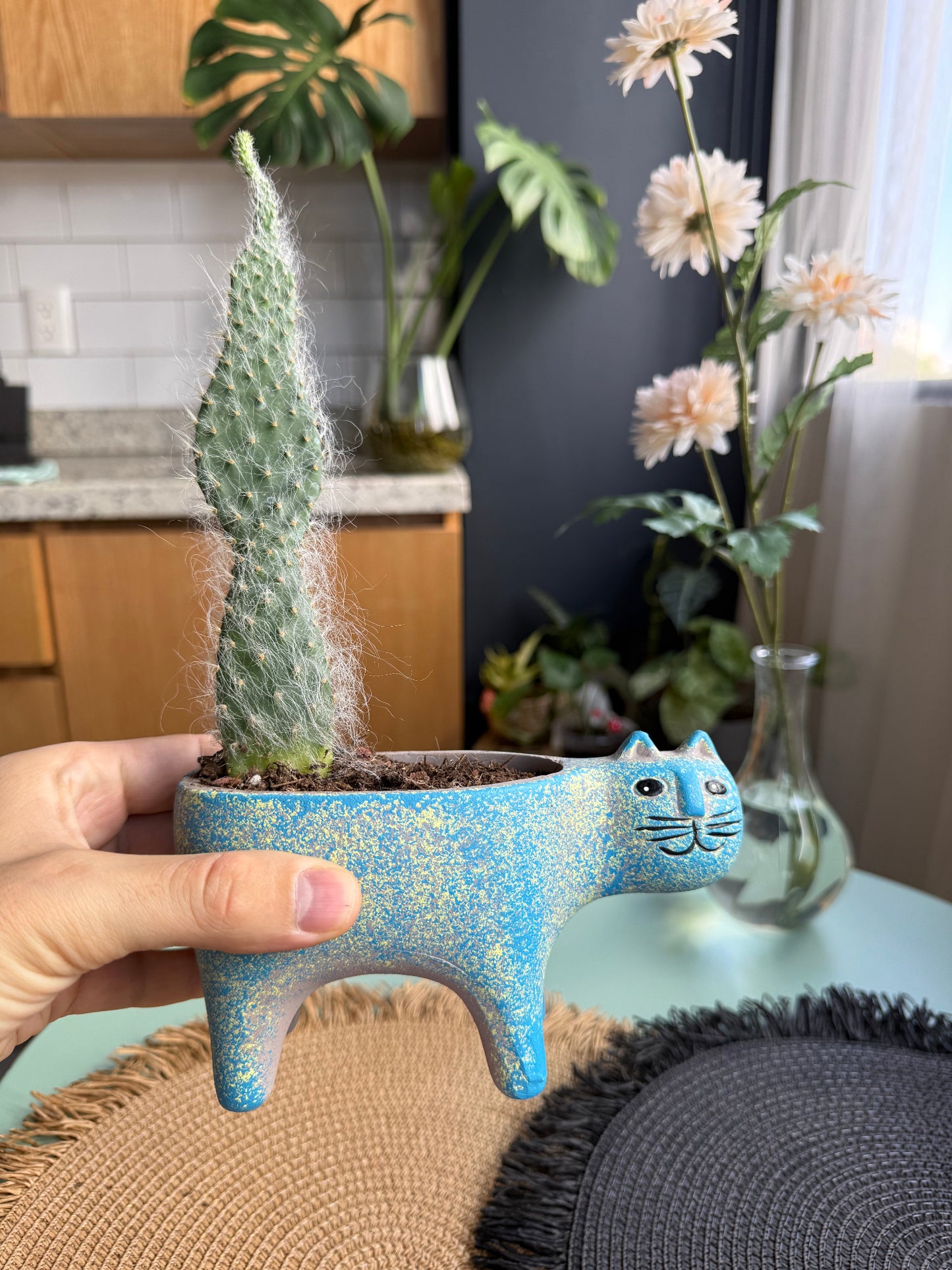 Blue Kitty Ceramic Pots