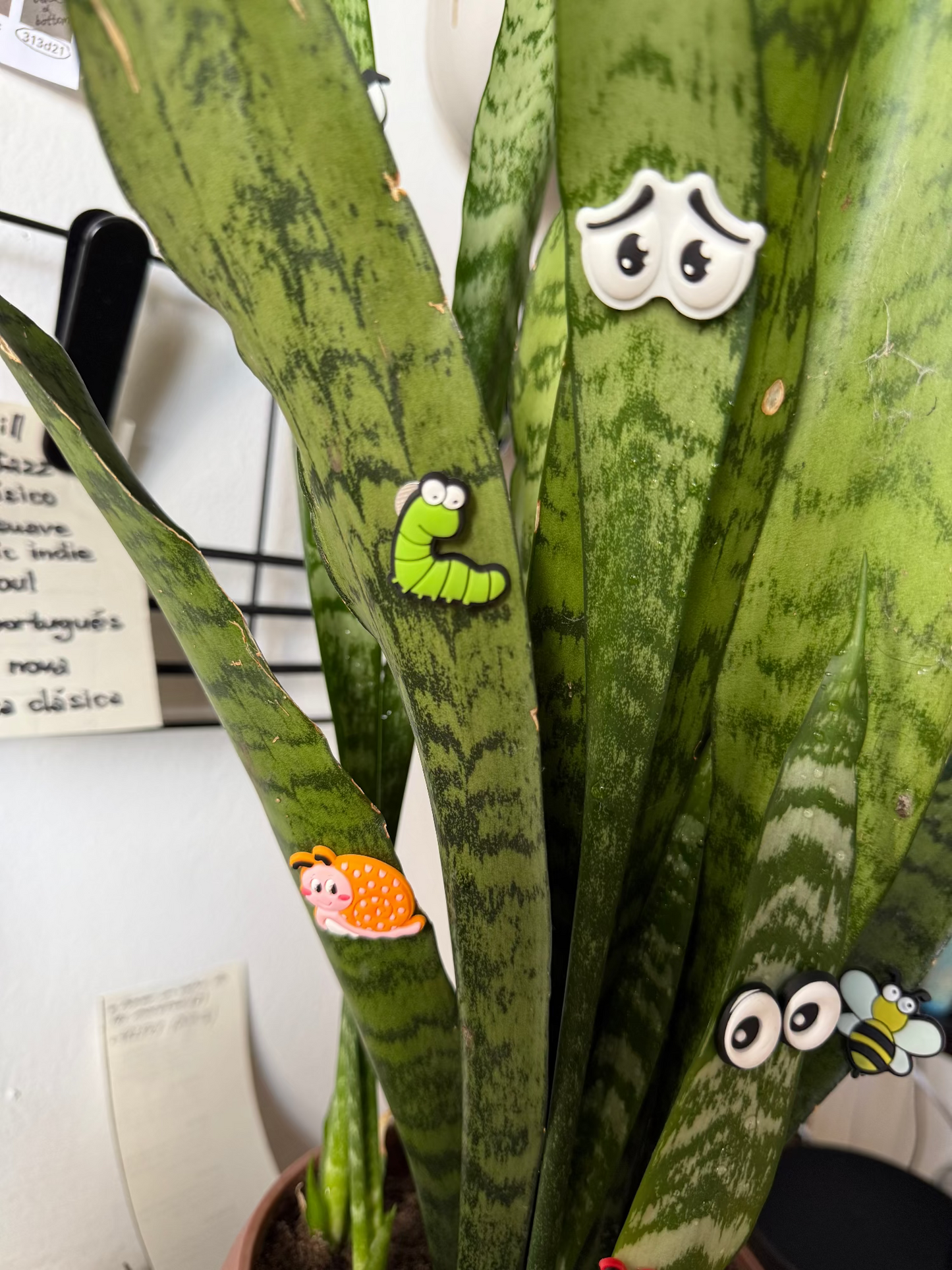 Plant Leaf Magnets