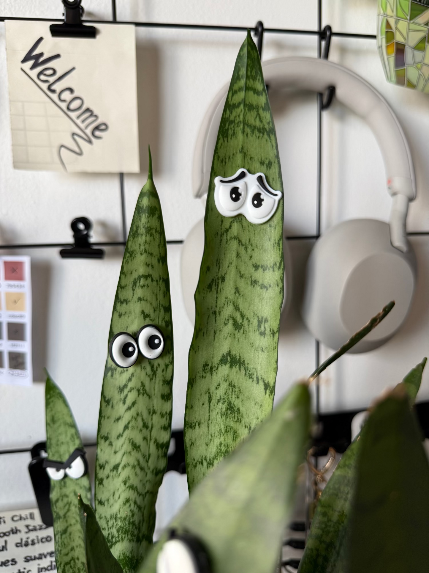 Plant Leaf Magnets