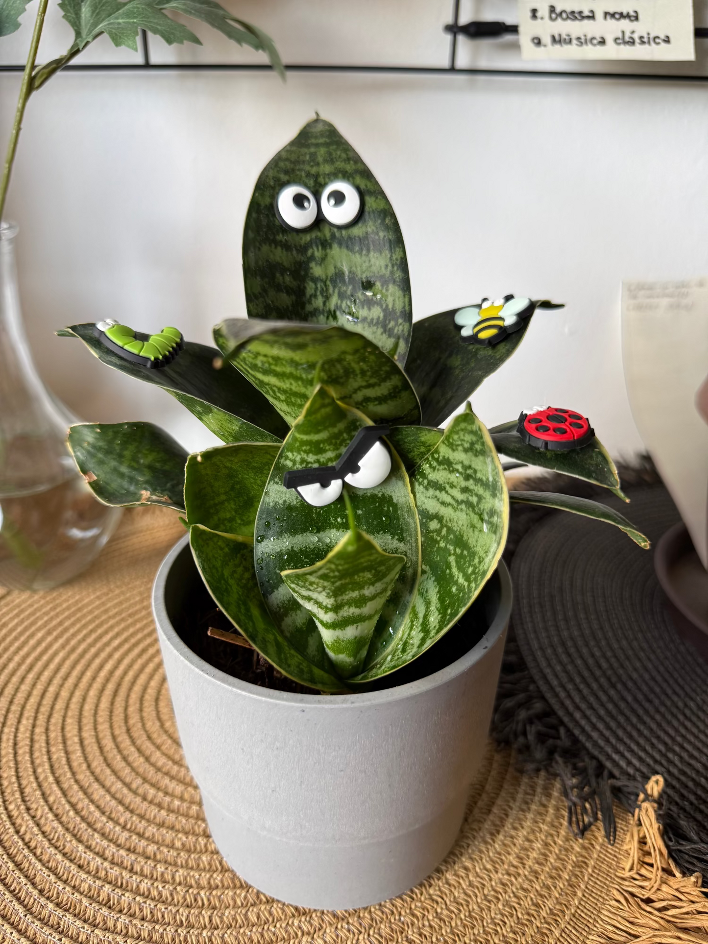 Plant Leaf Magnets