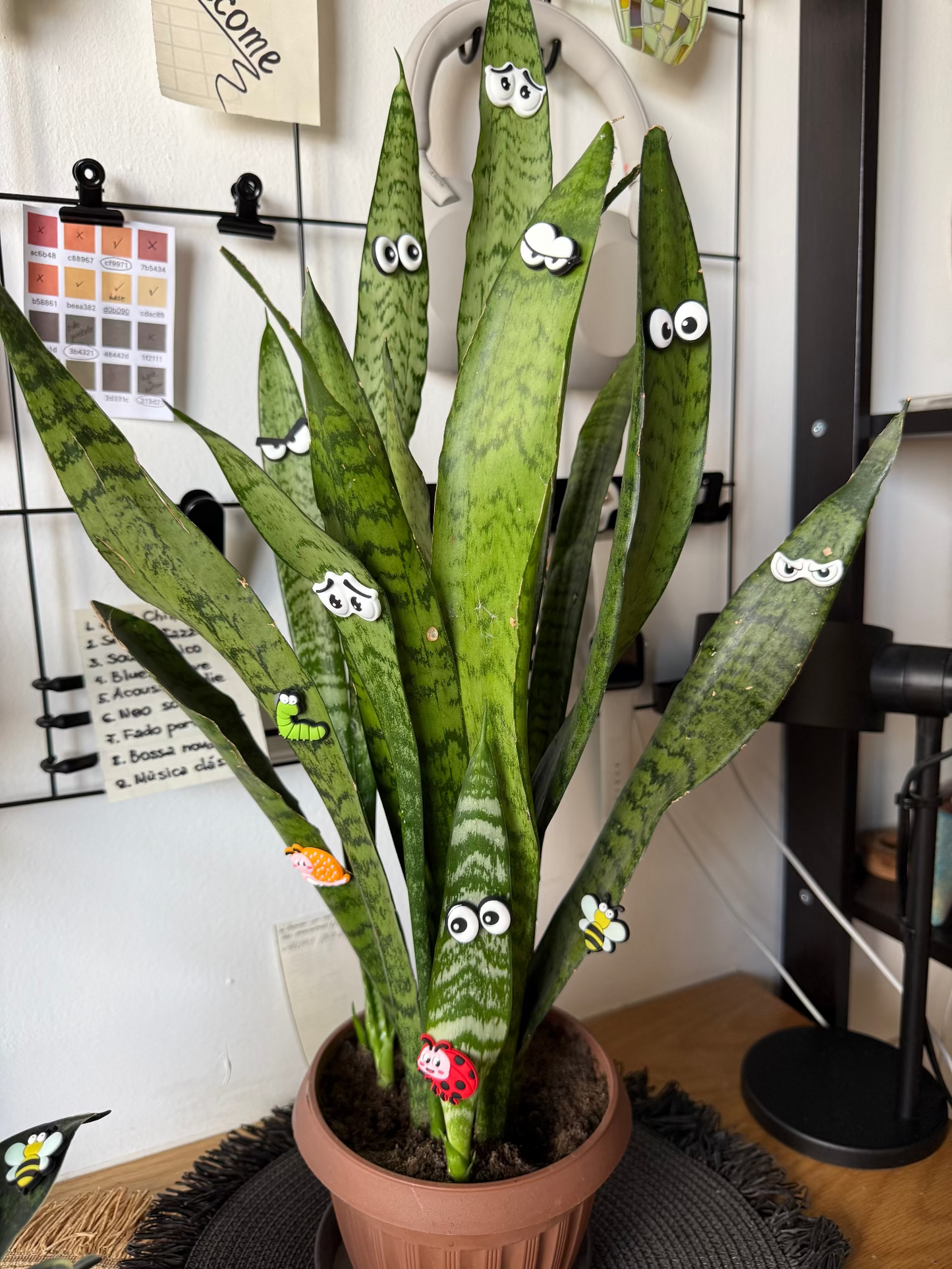 Plant Leaf Magnets