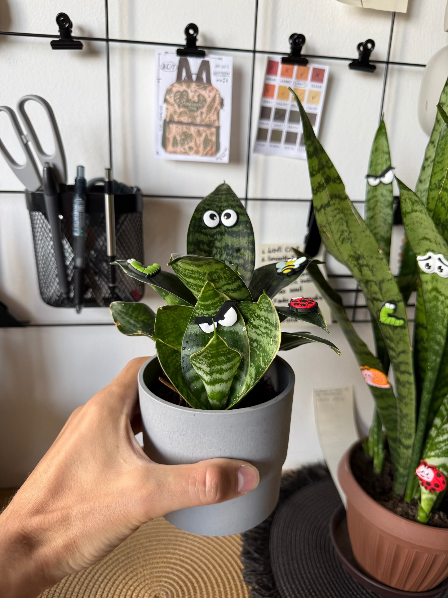 Plant Leaf Magnets