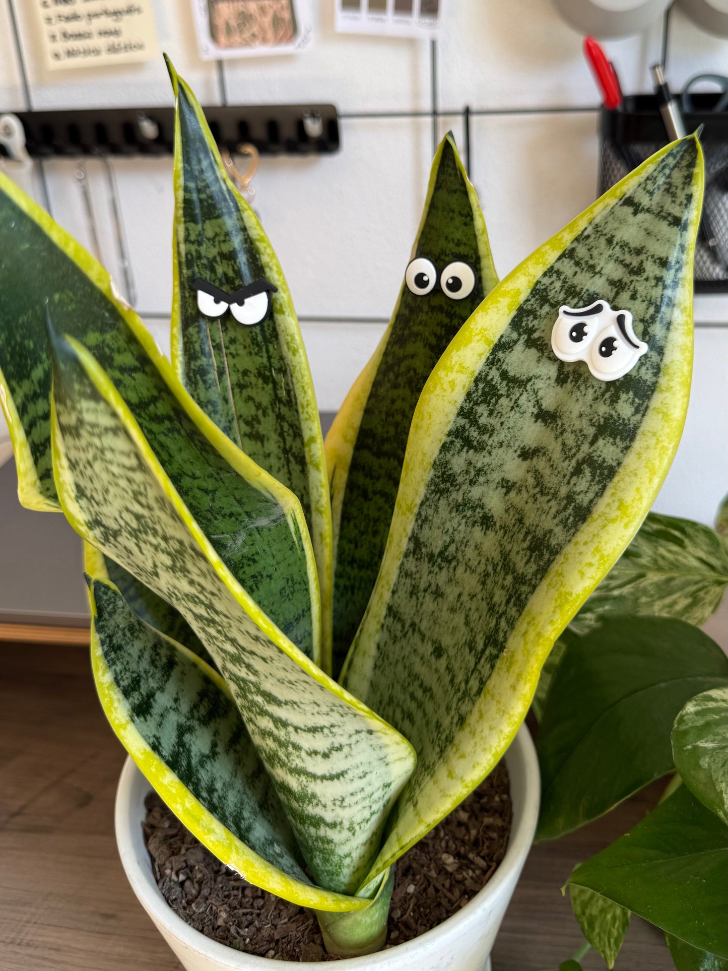 Plant Leaf Magnets