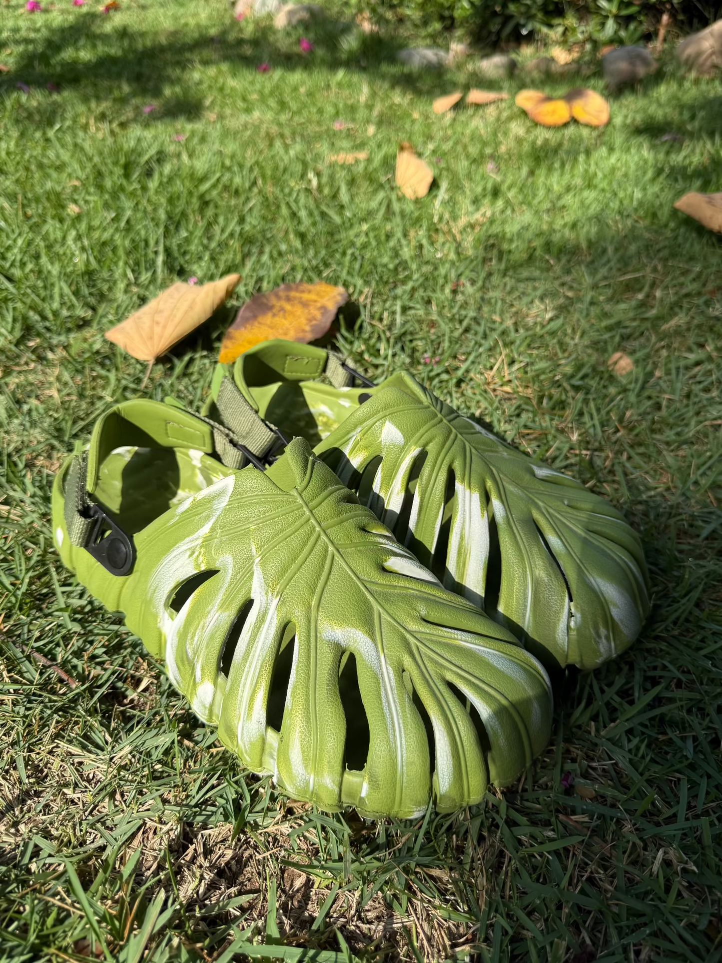Variegated Monstera Shoes