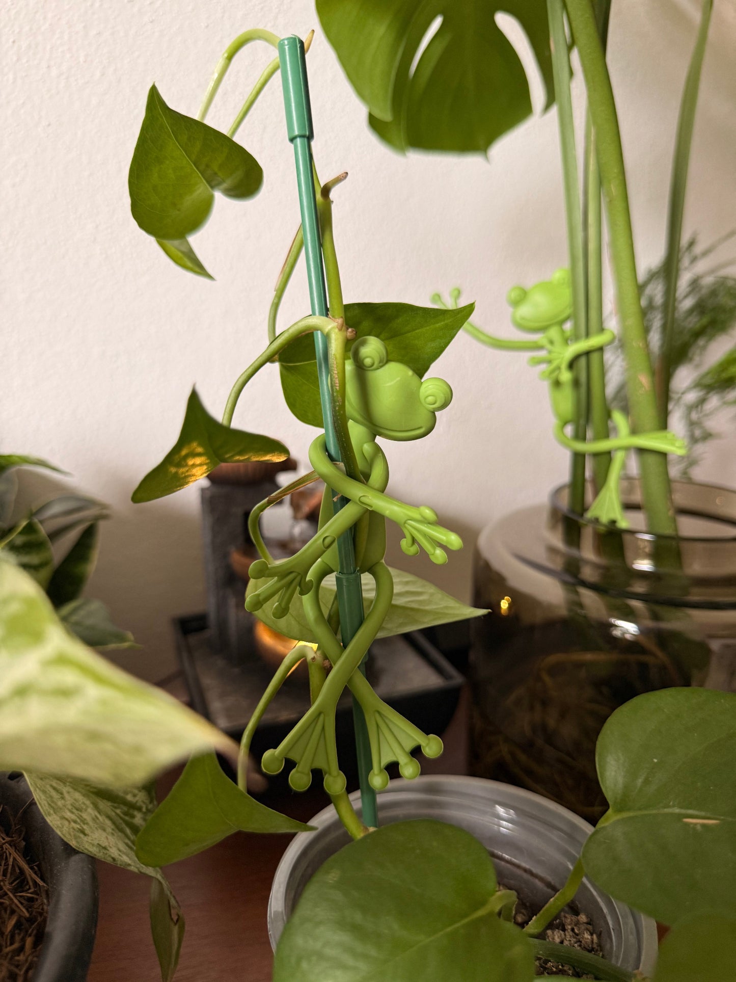 Frog Plant Holders 🐸