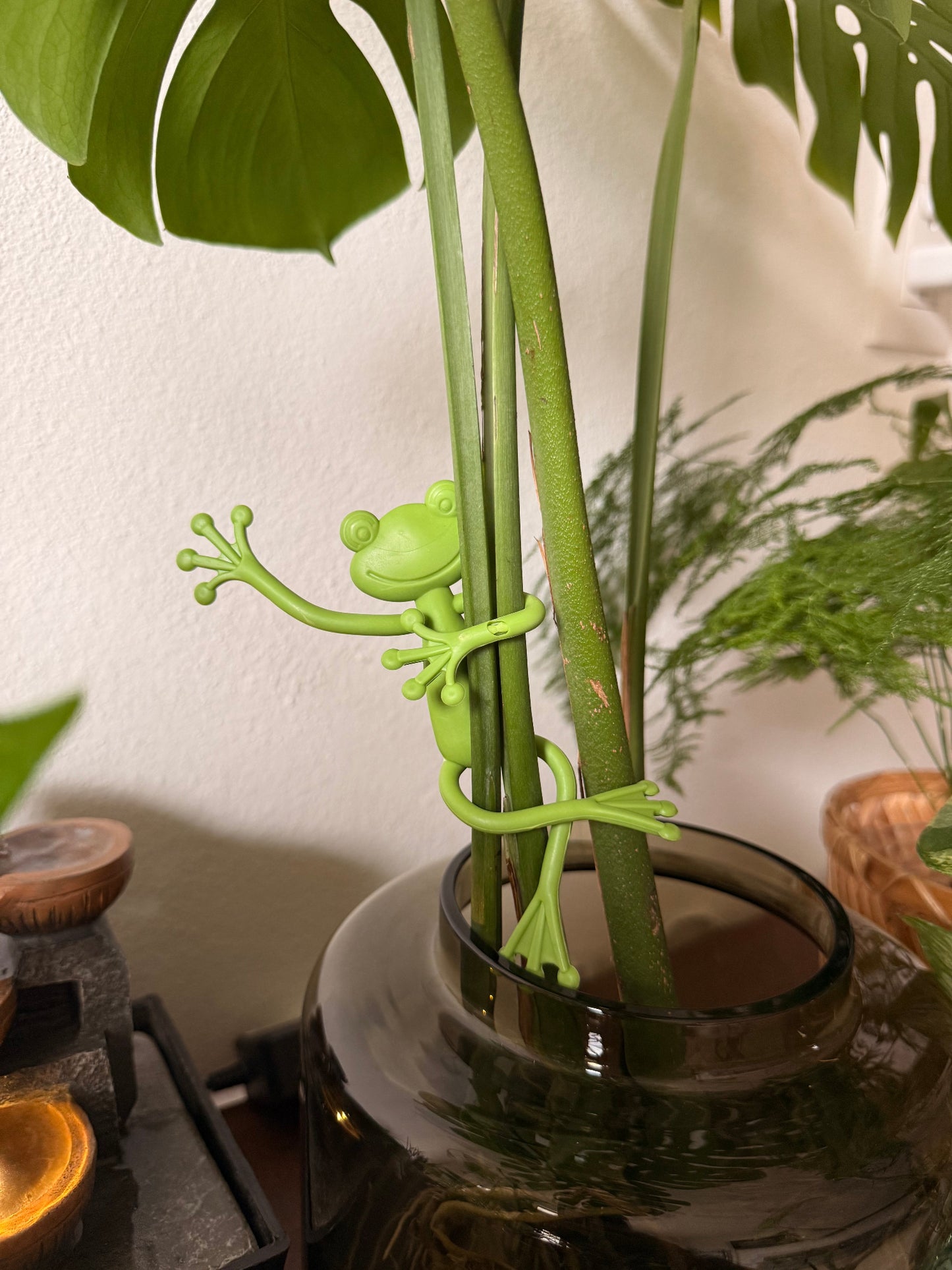 Frog Plant Holders 🐸