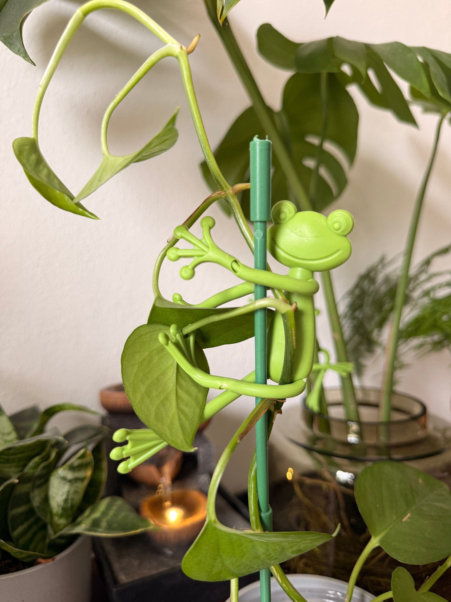 Frog Plant Holders 🐸