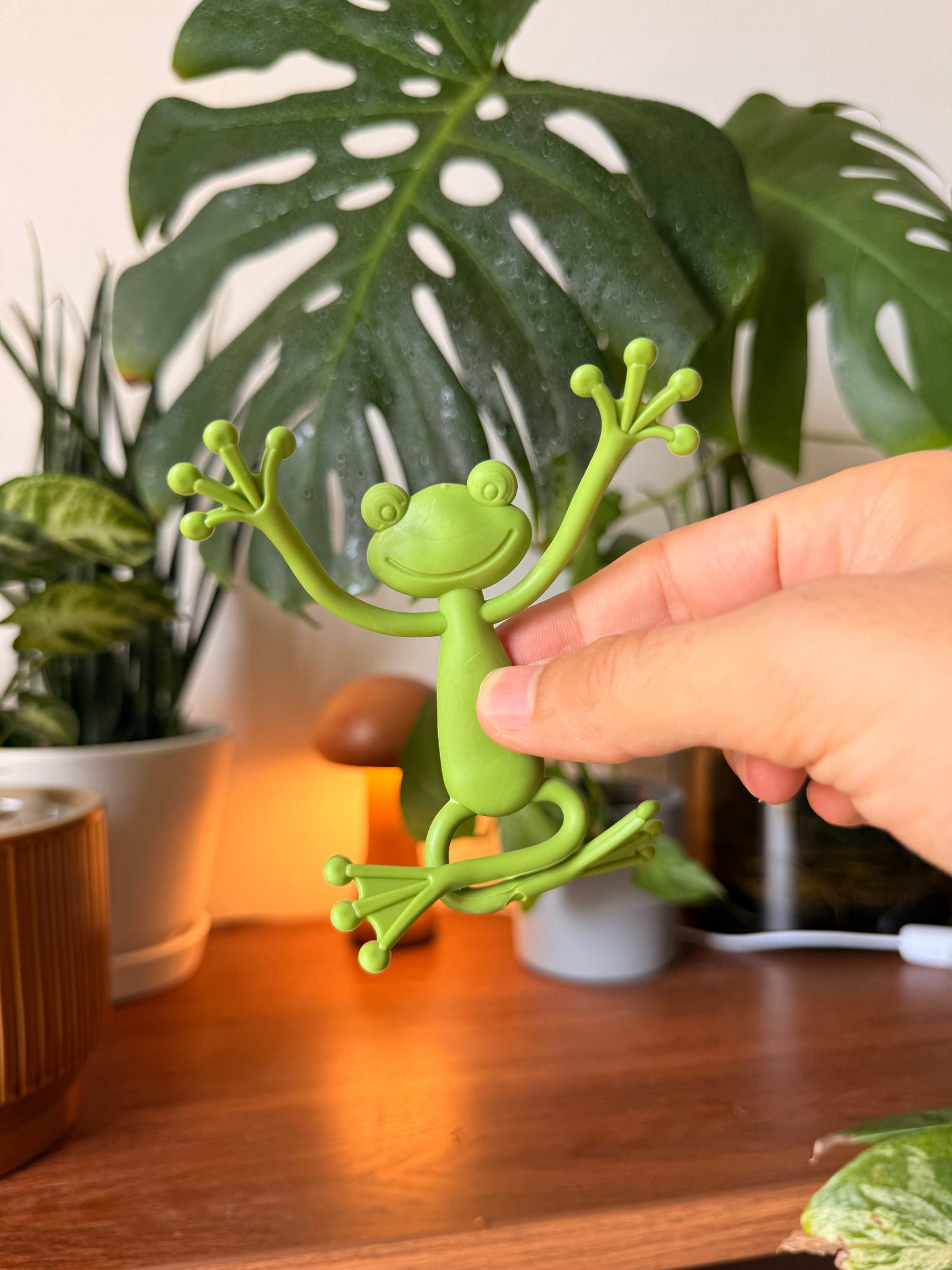 Frog Plant Holders 🐸