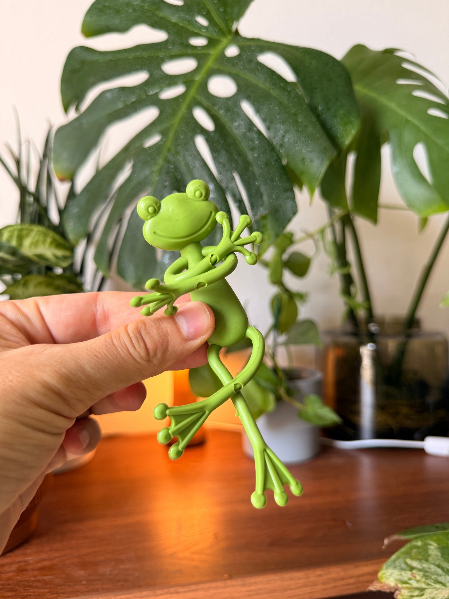 Frog Plant Holders 🐸