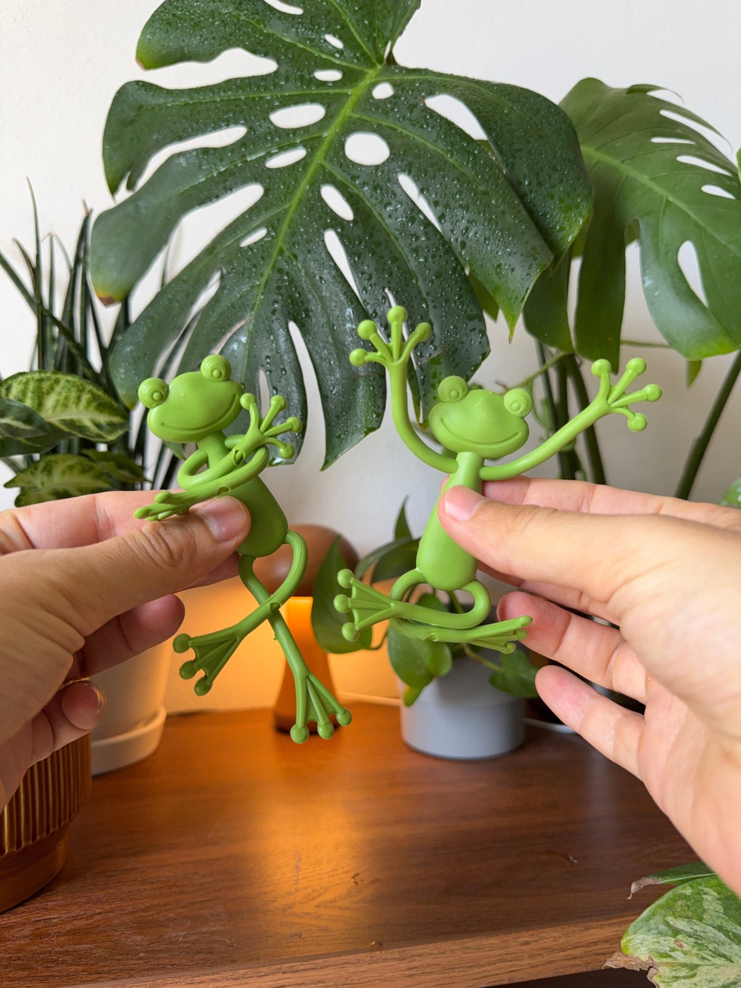 Frog Plant Holders 🐸