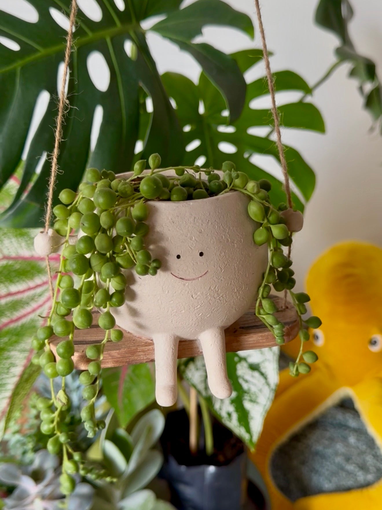 Swinging Happy Pot 🙂