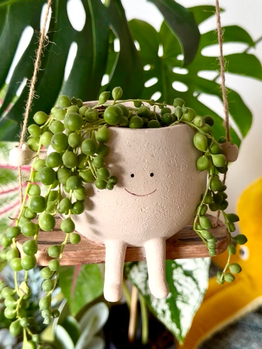 Swinging Smiling Face Pot