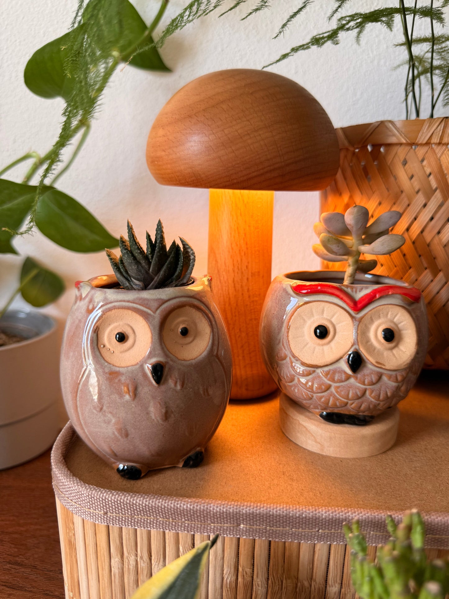 Handmade Ceramic Owl Pots 🪴🦉