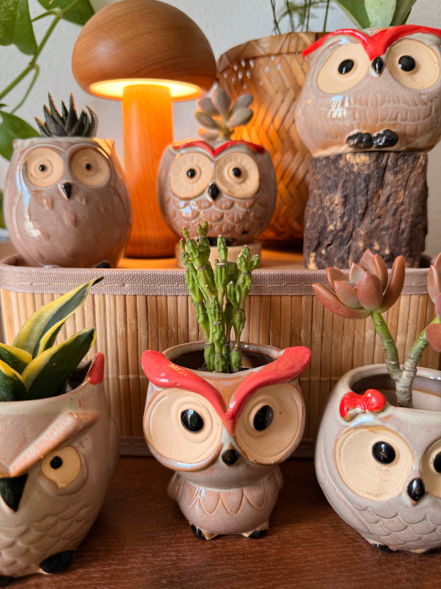 Handmade Ceramic Owl Pots 🪴🦉