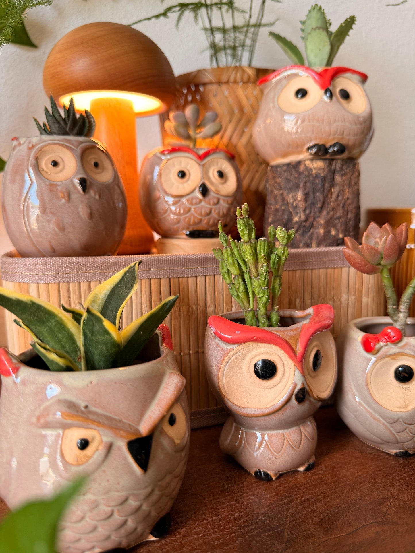 Handmade Ceramic Owl Pots 🪴🦉