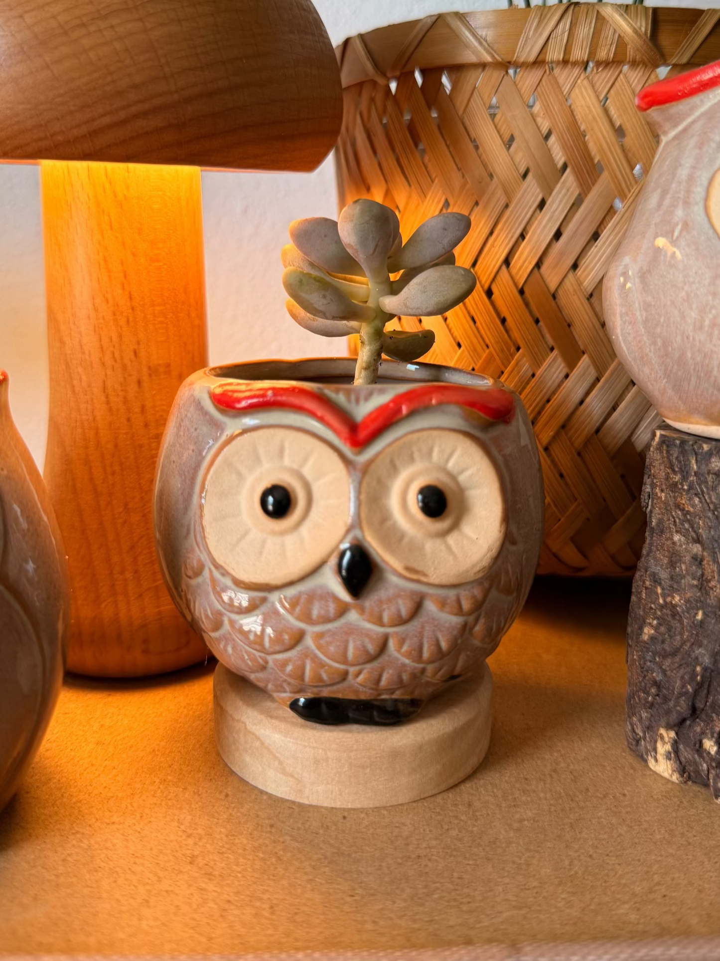 Handmade Ceramic Owl Pots 🪴🦉
