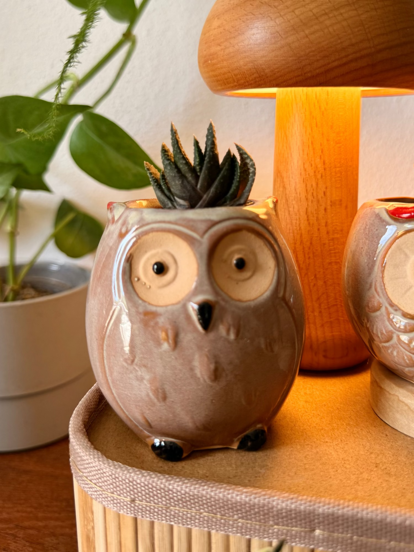 Handmade Ceramic Owl Pots 🪴🦉