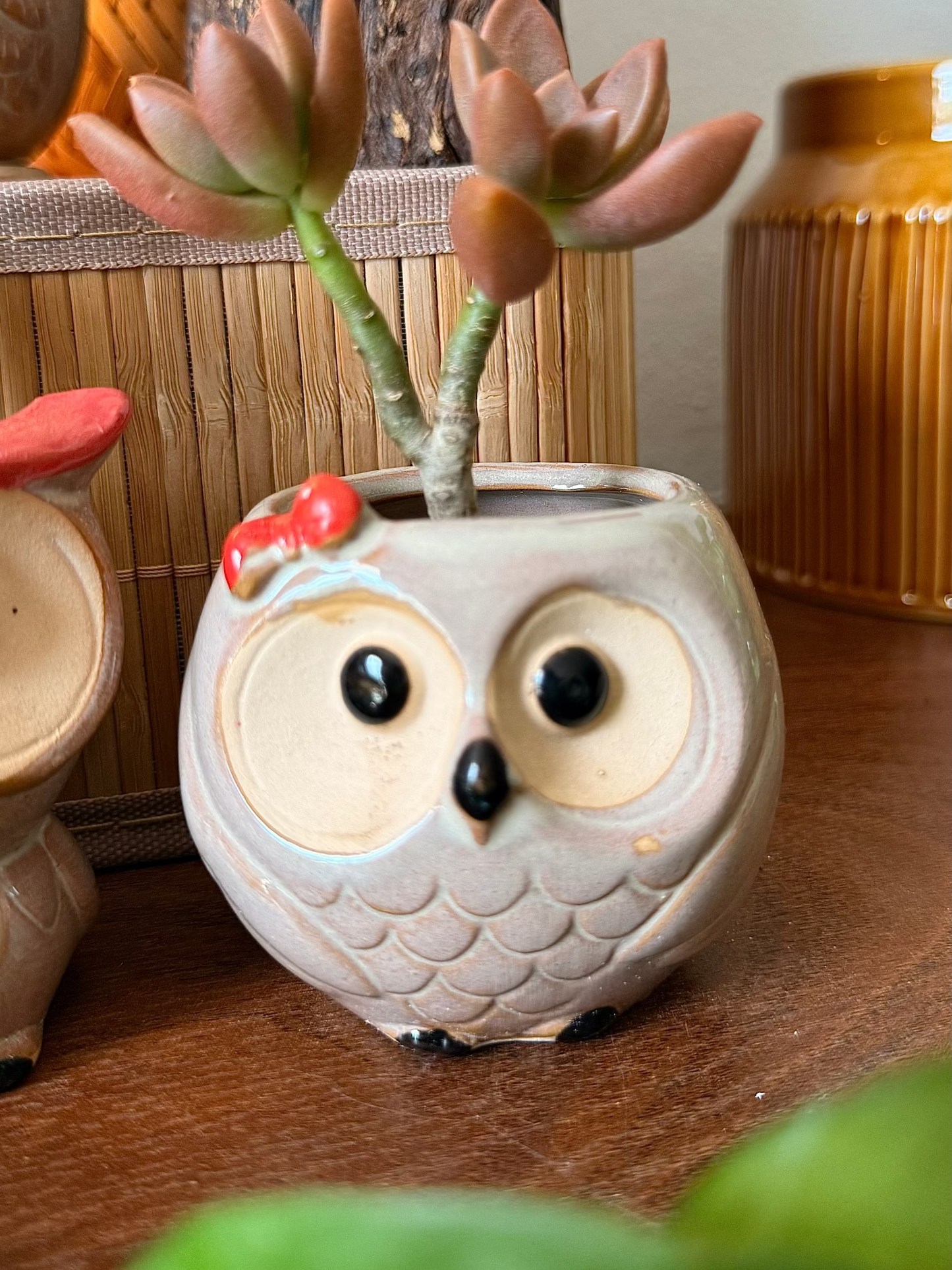 Handmade Ceramic Owl Pots 🪴🦉