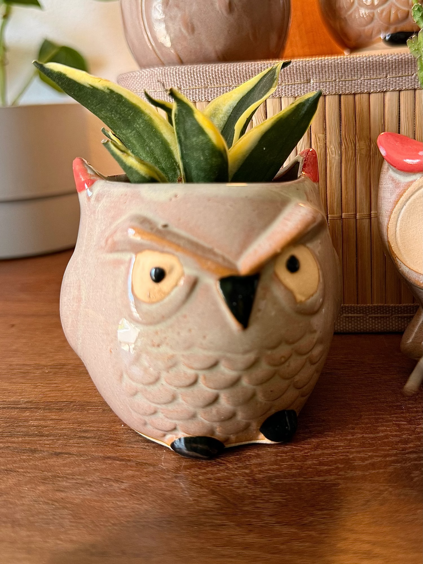 Handmade Ceramic Owl Pots 🪴🦉