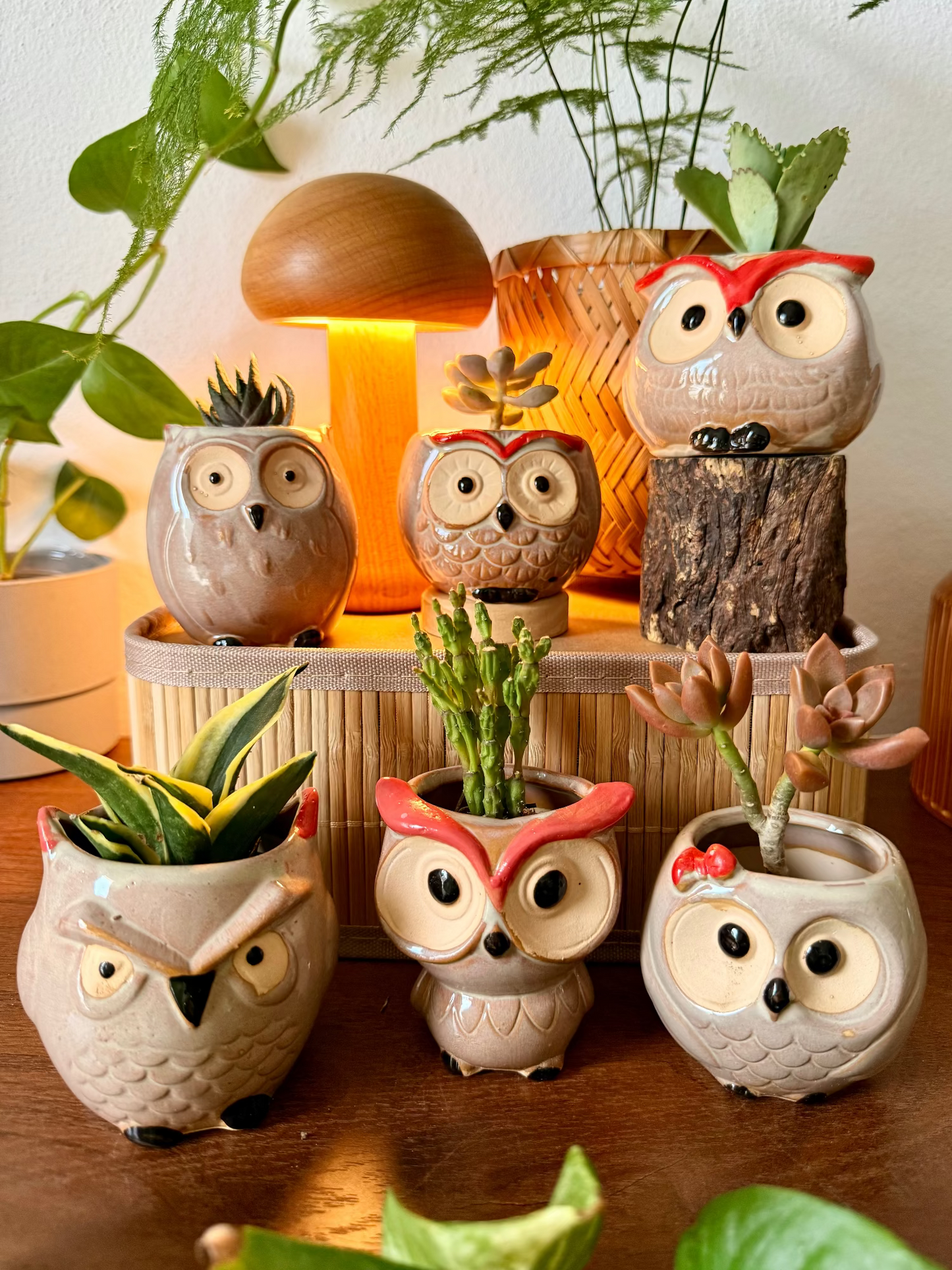 Handmade Ceramic Owl Pots 🪴🦉