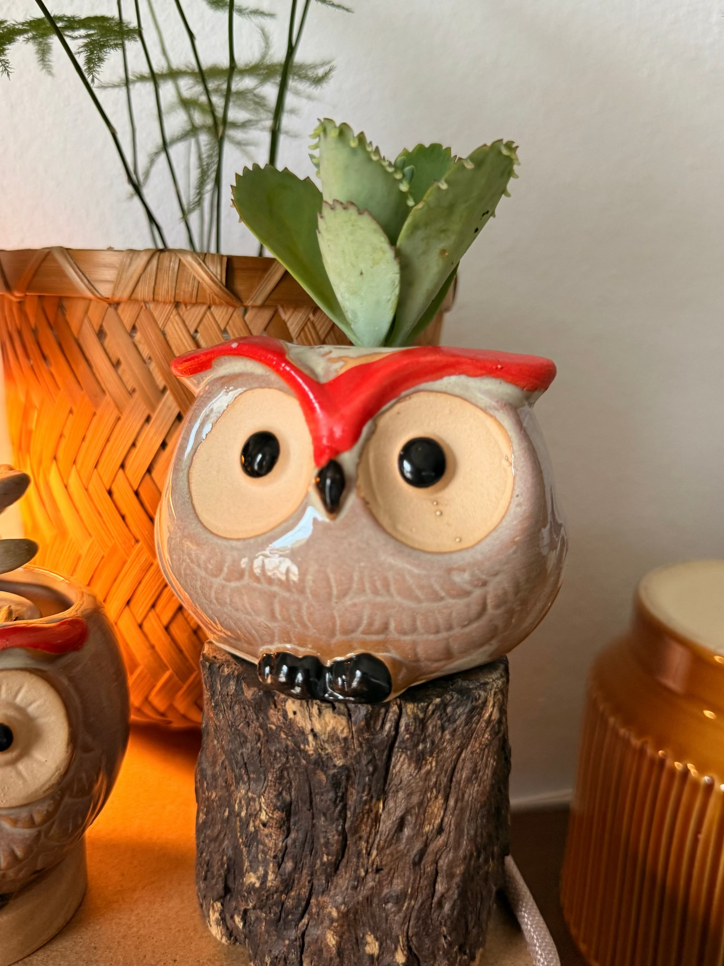 Handmade Ceramic Owl Pots 🪴🦉