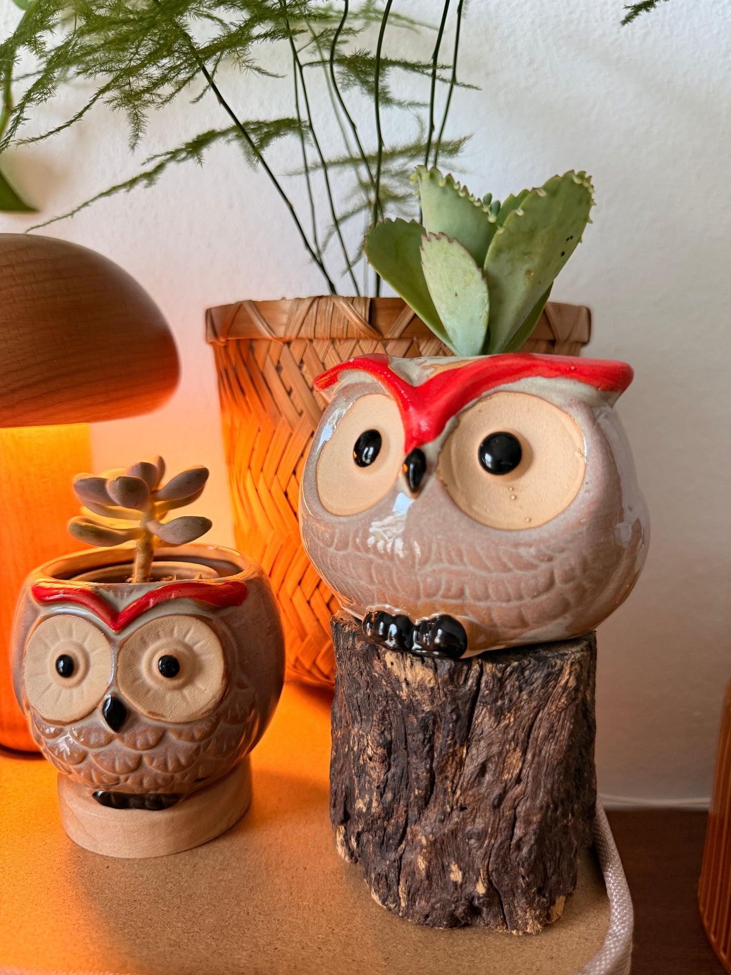 Handmade Ceramic Owl Pots 🪴🦉