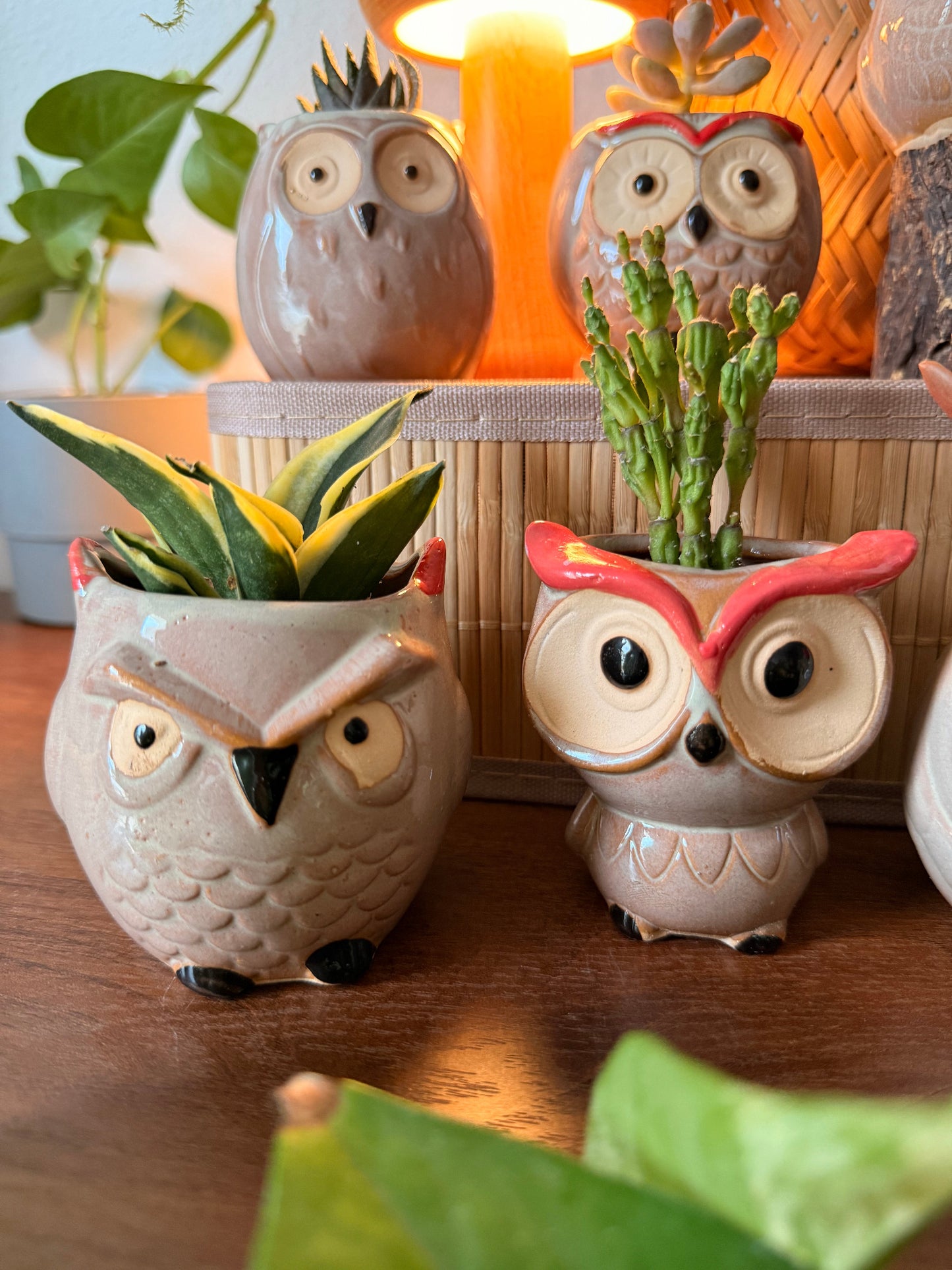 Handmade Ceramic Owl Pots 🪴🦉