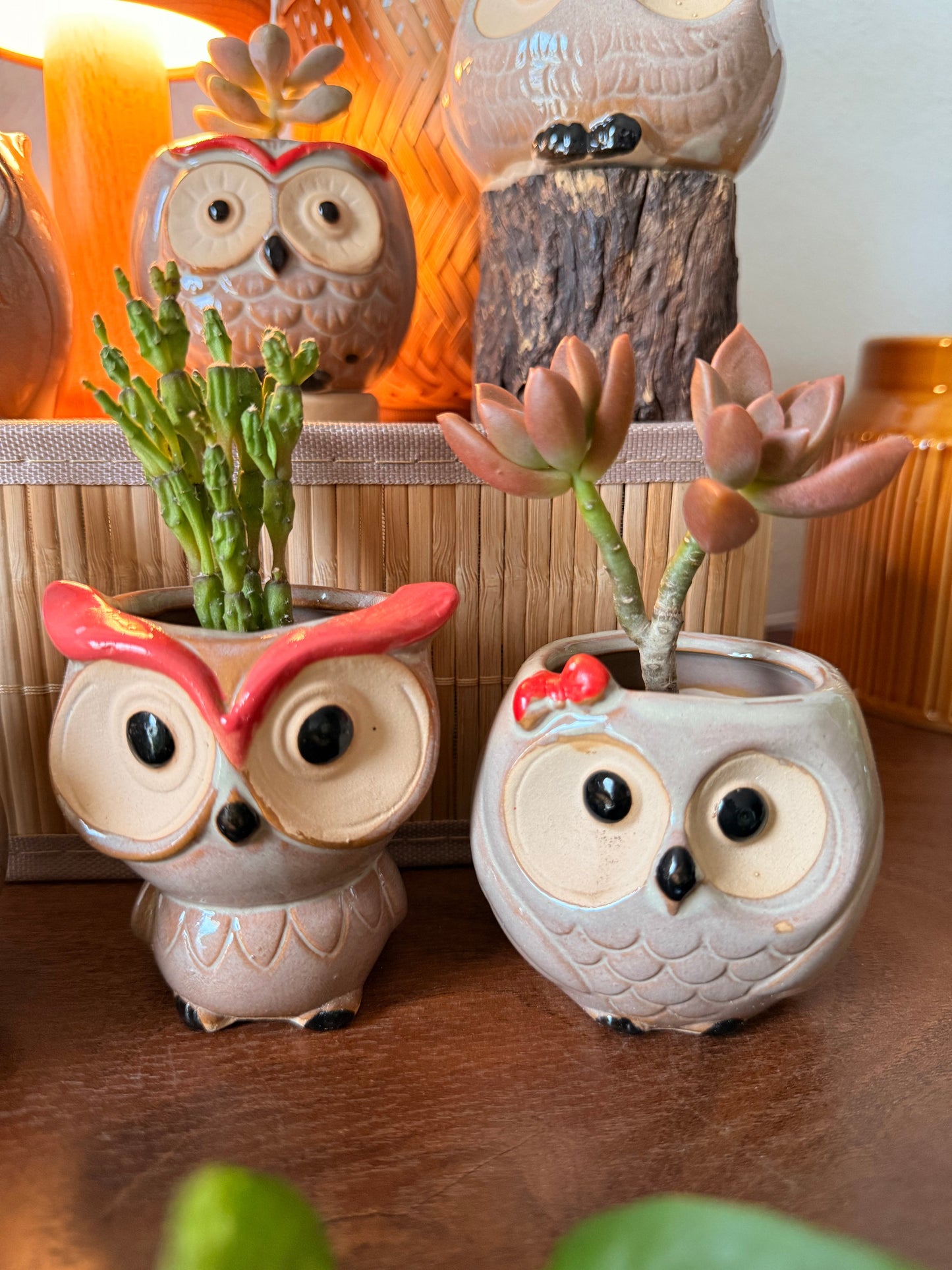 Handmade Ceramic Owl Pots 🪴🦉