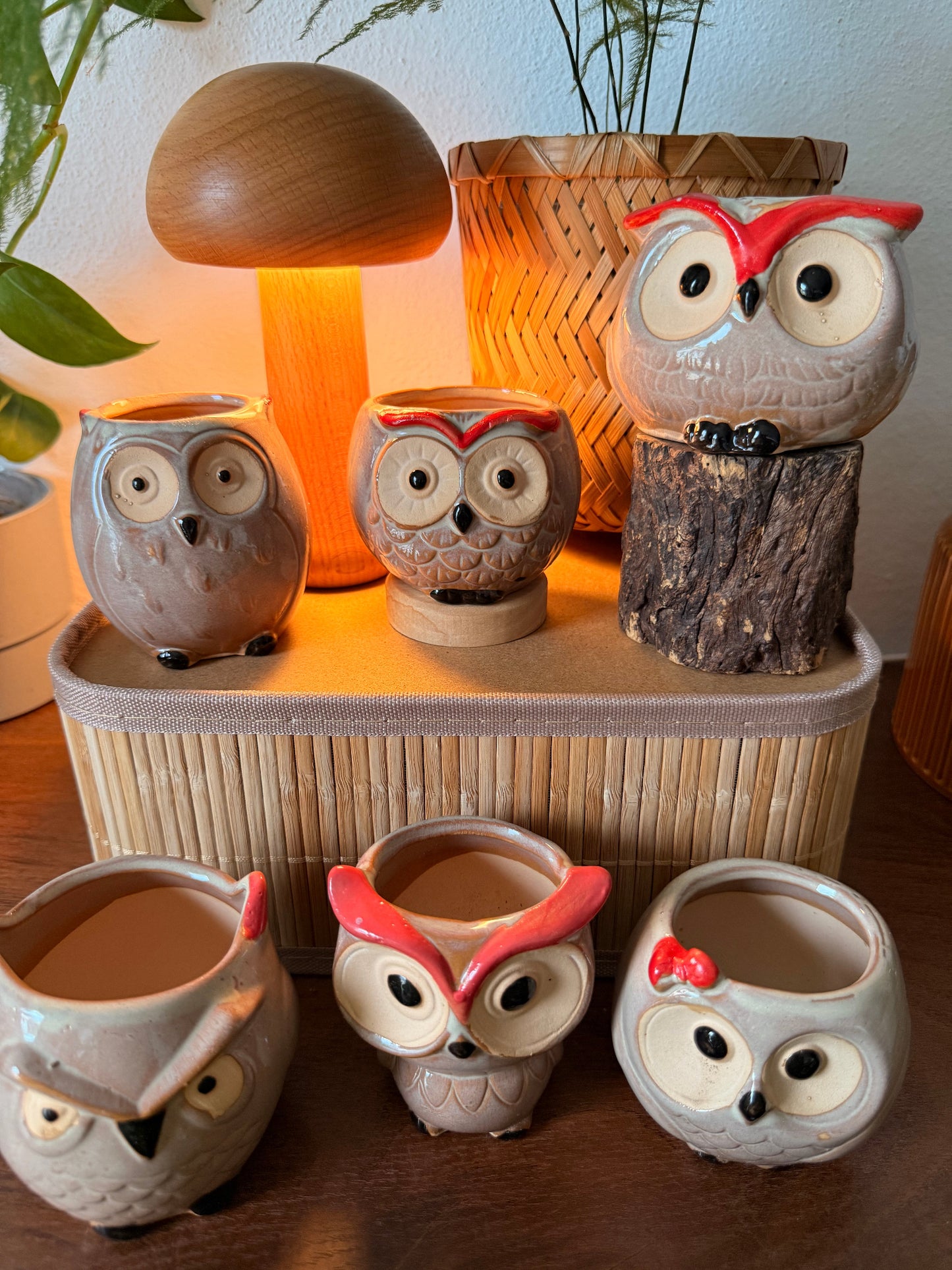 Handmade Ceramic Owl Pots 🪴🦉