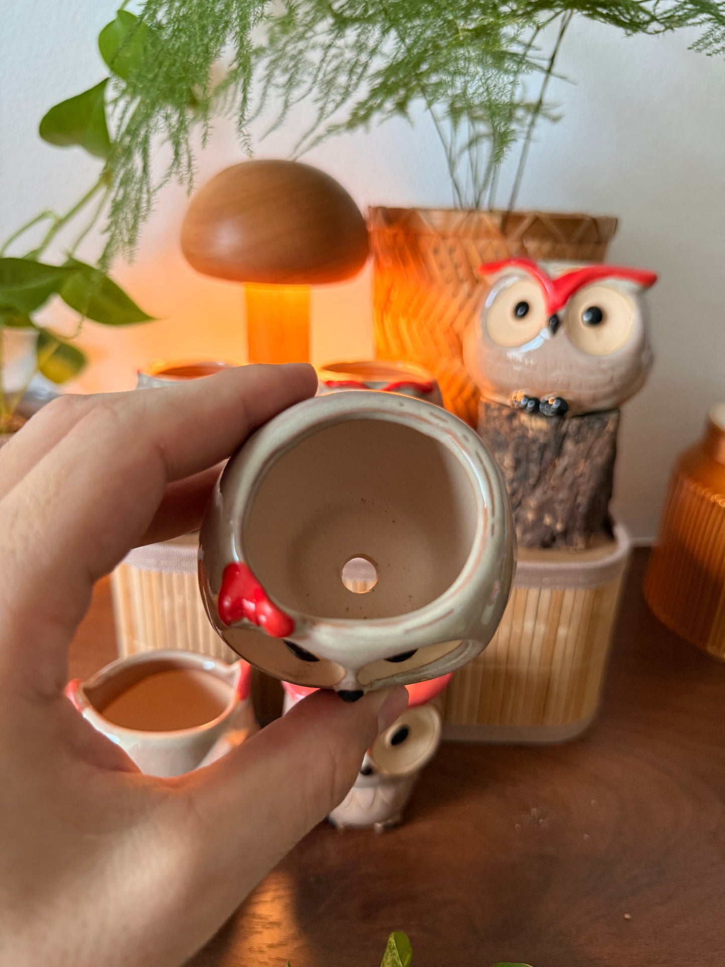 Handmade Ceramic Owl Pots 🪴🦉