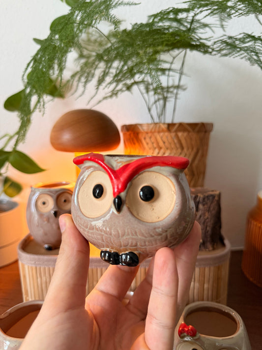 Handmade Ceramic Owl Pots 🪴🦉