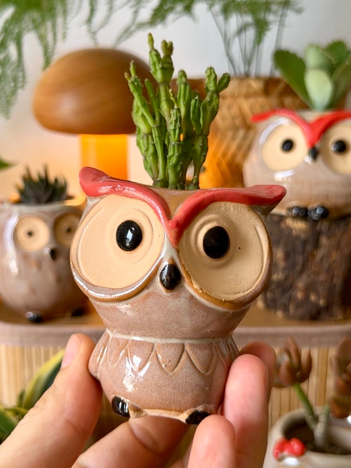 Handmade Ceramic Owl Pots 🪴🦉