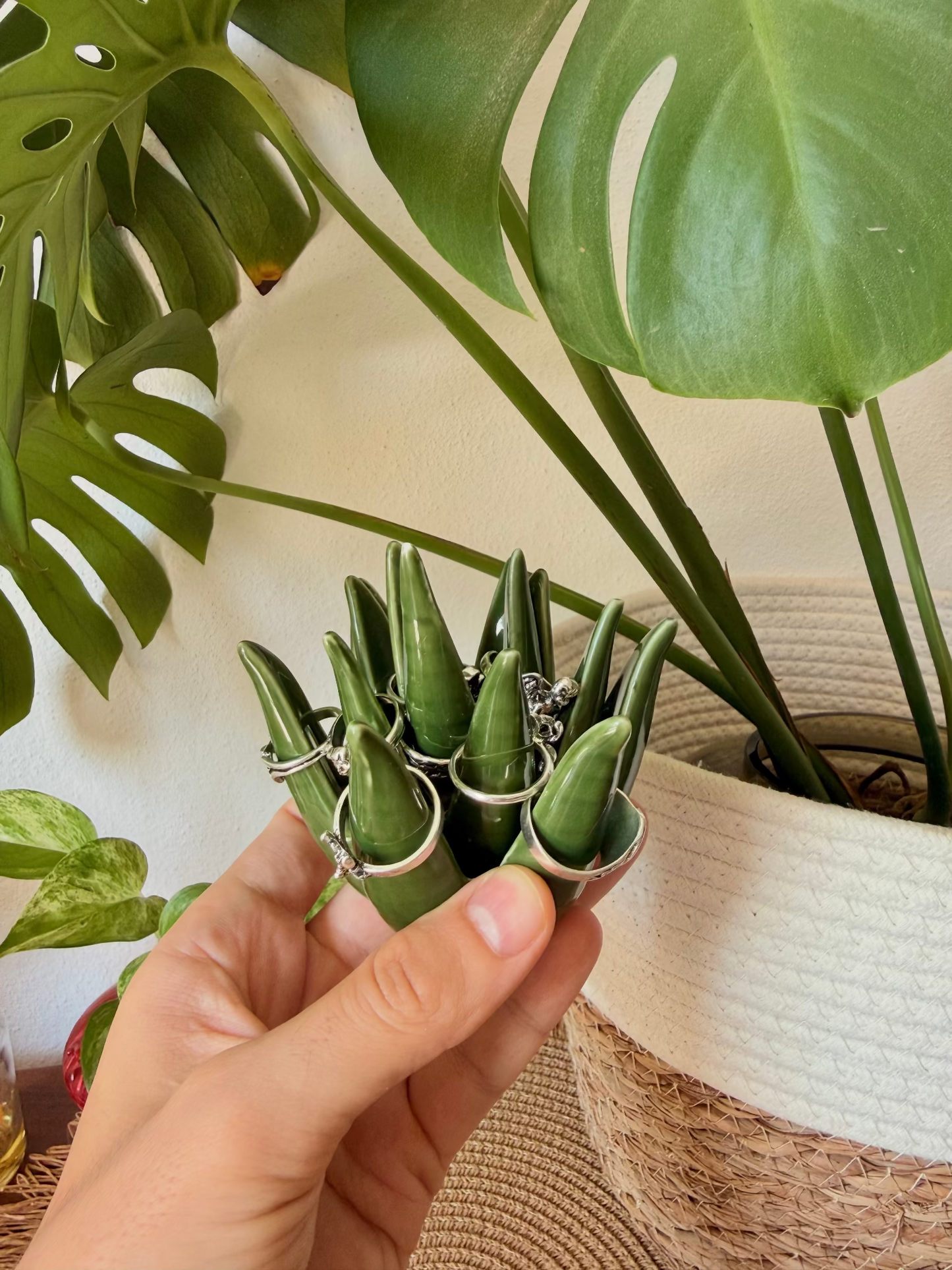 Ceramic Aloe Vera Ring Holder