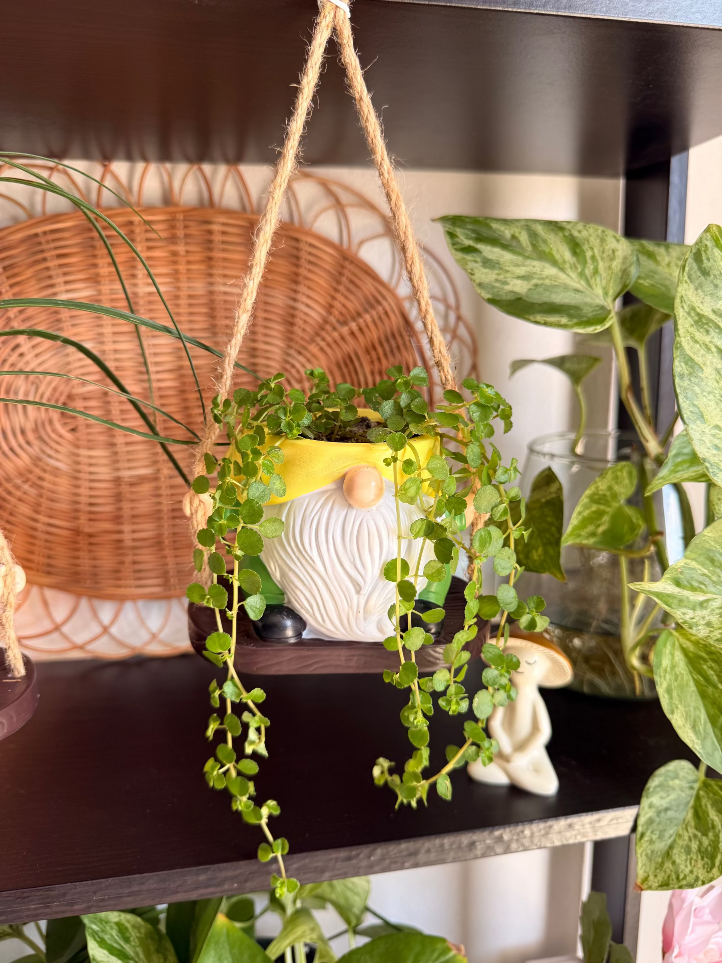Gnome Hanging Pots